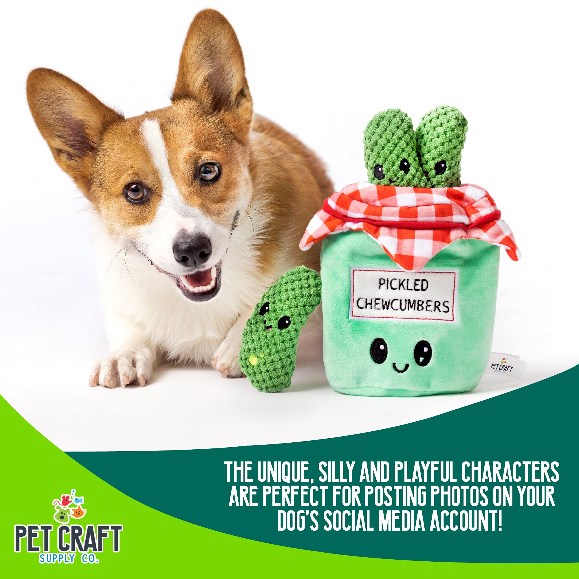 Pet Craft Supply Hide and Seek Plush Dog Toys - 4 Piece Set, Interactive Crinkle Squeaky Chew Puzzle for Medium Breeds