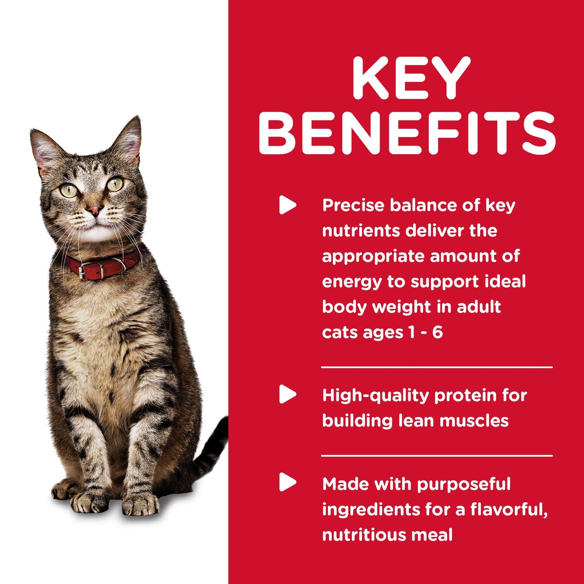 Hills Science Diet Kitten, Kitten Premium Nutrition, Wet Cat Food, Salmon Minced, 2.9 oz Can, Case of 24