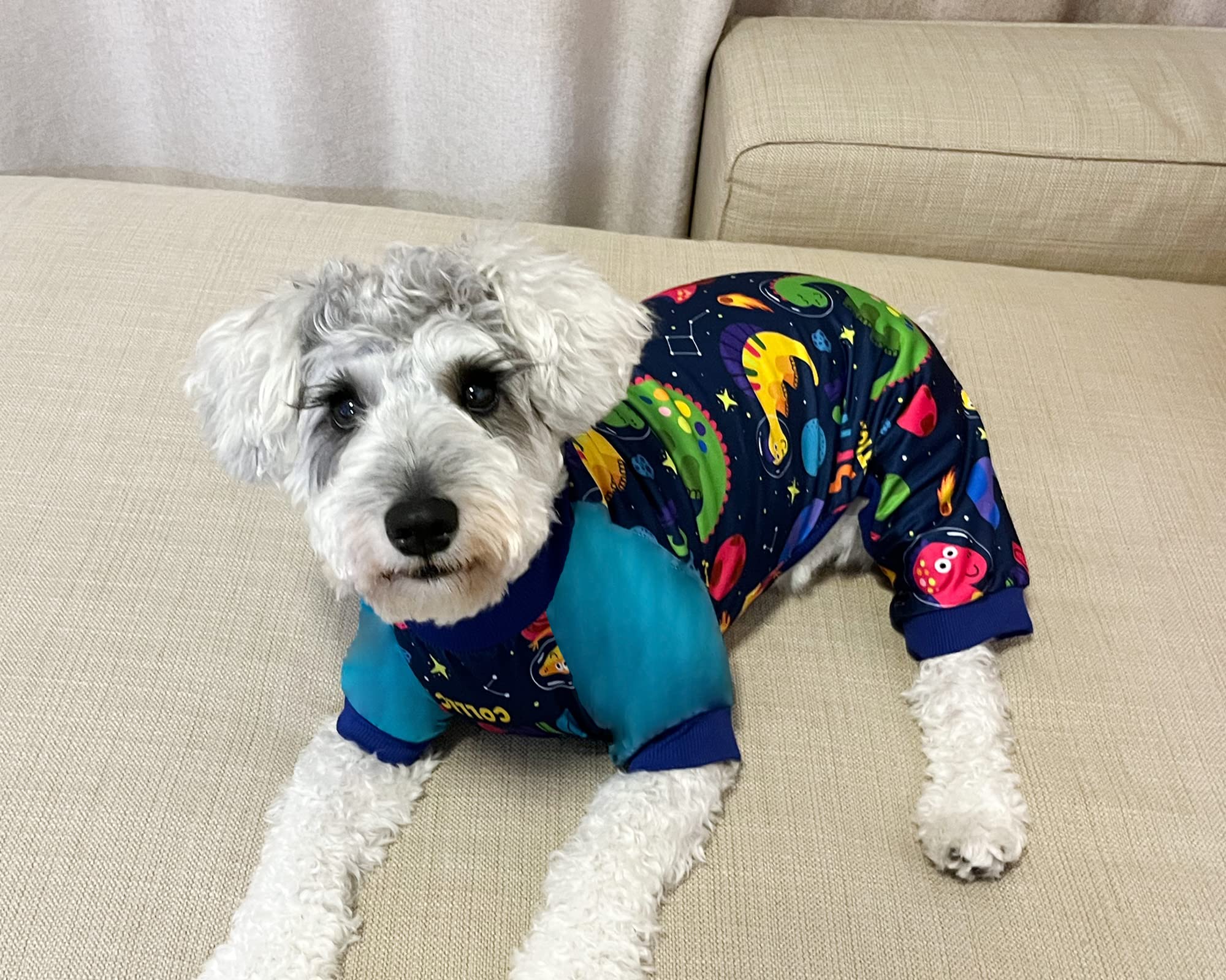 Xpudac Dog Pajamas Clothes For Small Dogs Boy Girl, Dog Pjs Puppy Onesies Outfits Pet Clothes For Dog Cat Christmas Pajamas, 4 Styles(Animal, Small)