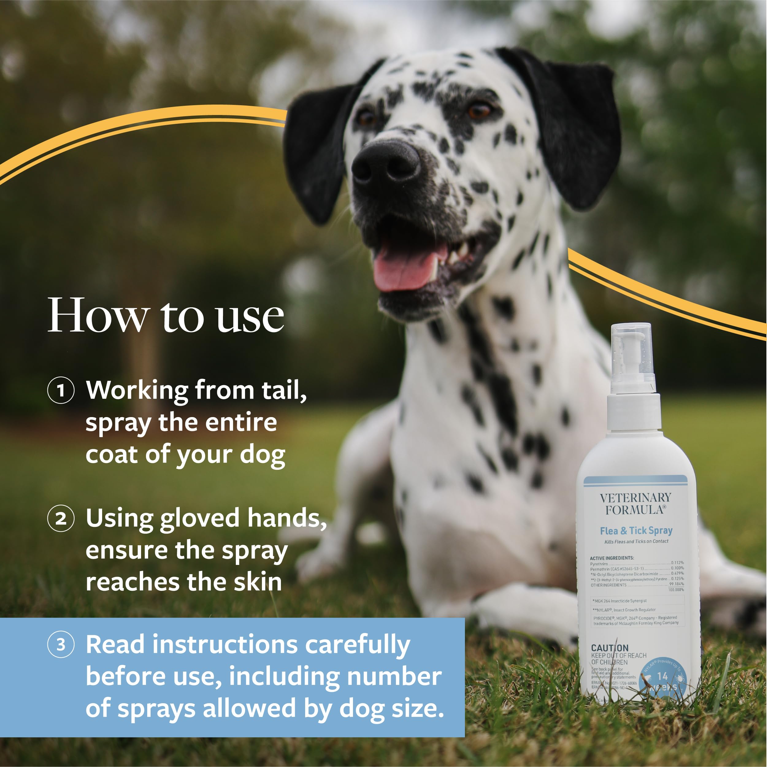 Veterinary Formula Flea and Tick Spray for Dogs, 8 oz - Easy-to-Use Dog Flea Spray, Kills on Contact, Prevents Egg & Larval Deve