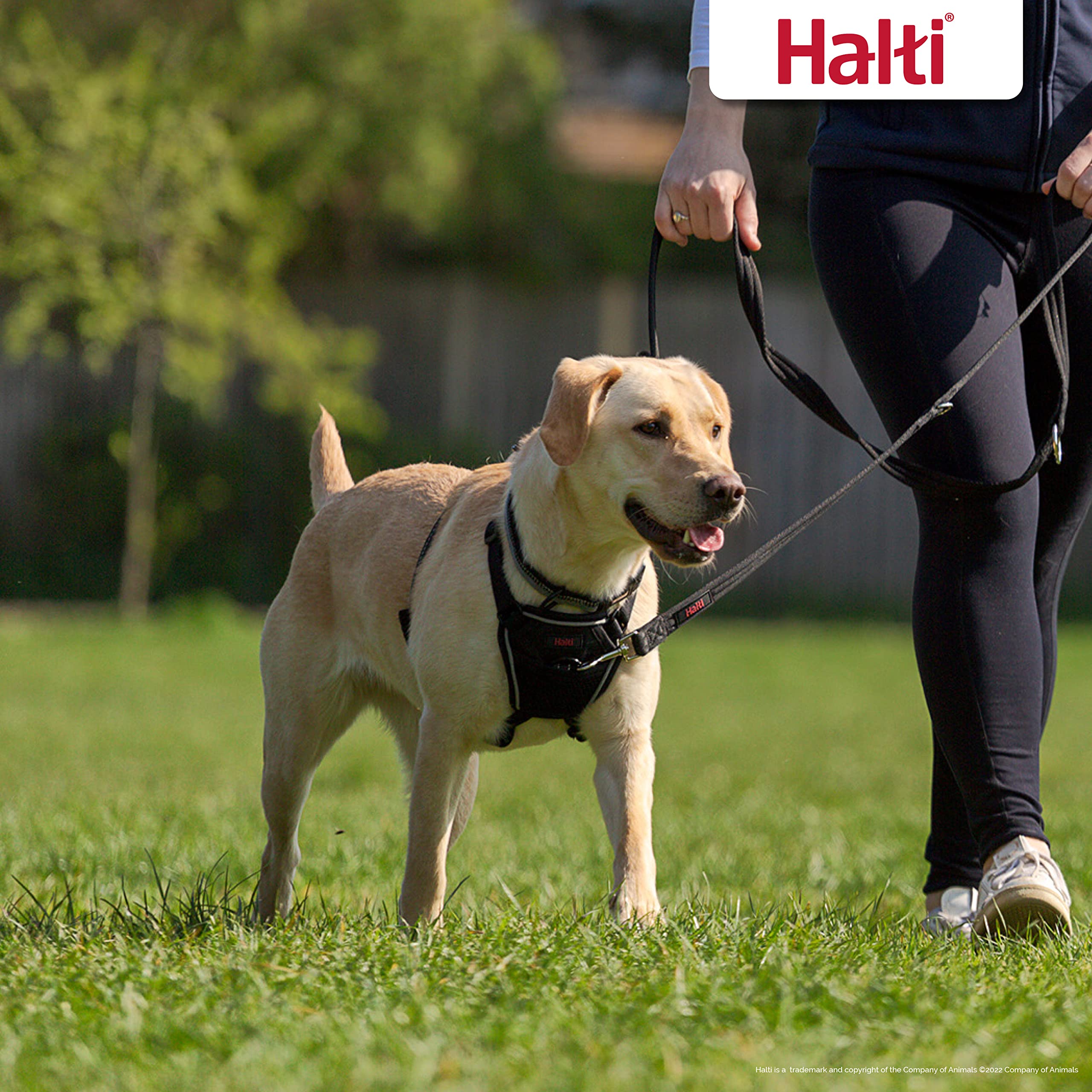 Halti No Pull Harness & Training Leash Combo Pack - Large, Black, Adjustable Nylon for Dogs
