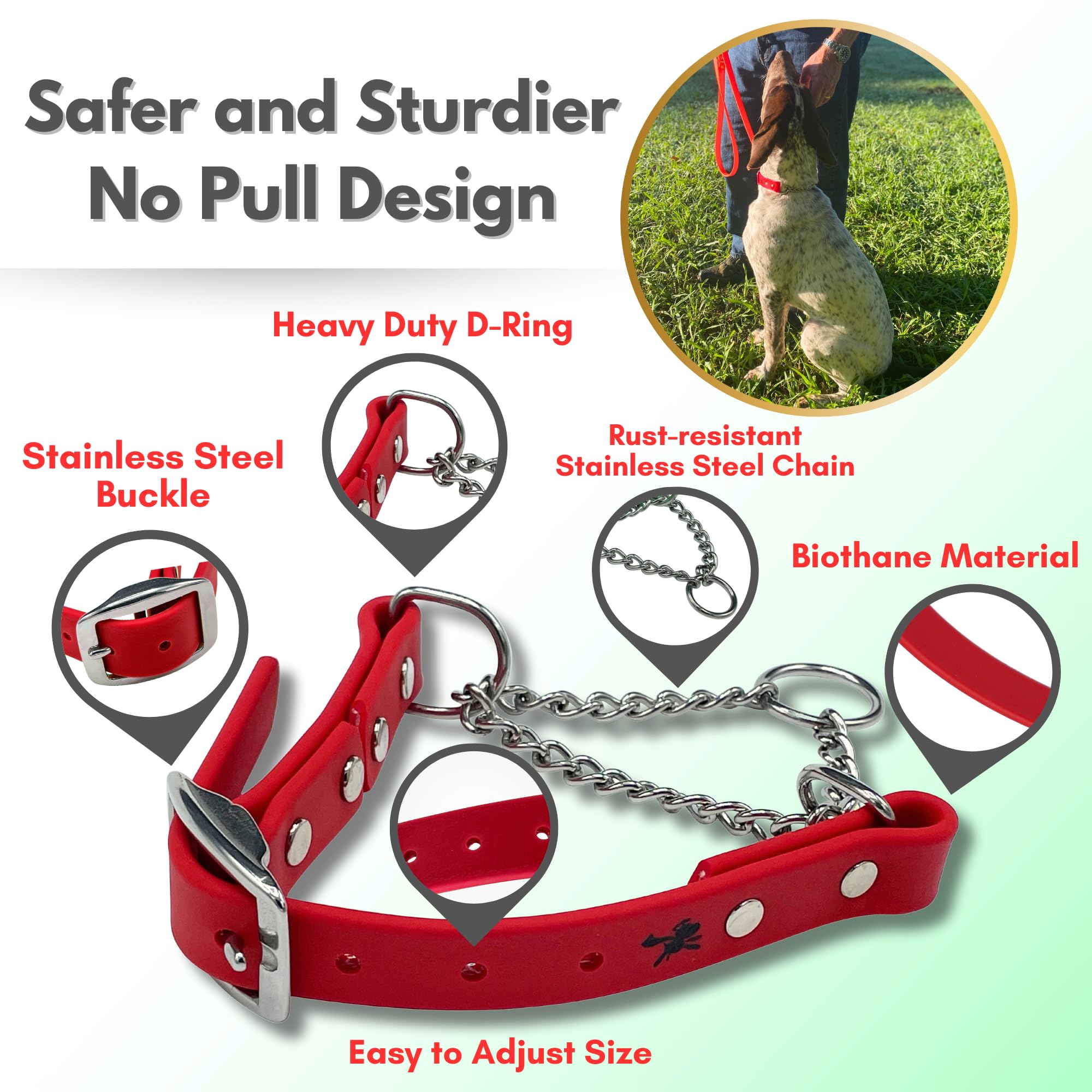Jim Hodges Dog Training Martingale Collar For Dogs, Biothane, Stainless Steel Hardware, No Pull, Made In The Usa, Professional G