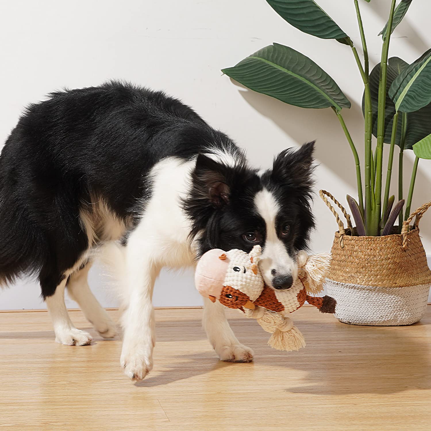 Sedioso Dog Toy, Dog Plush Toy For Large Breed, Cute Squeaky Dog Toys With Crinkle Paper, Dog Chew Toys For Puppy, Small, Middle, Big Dogs