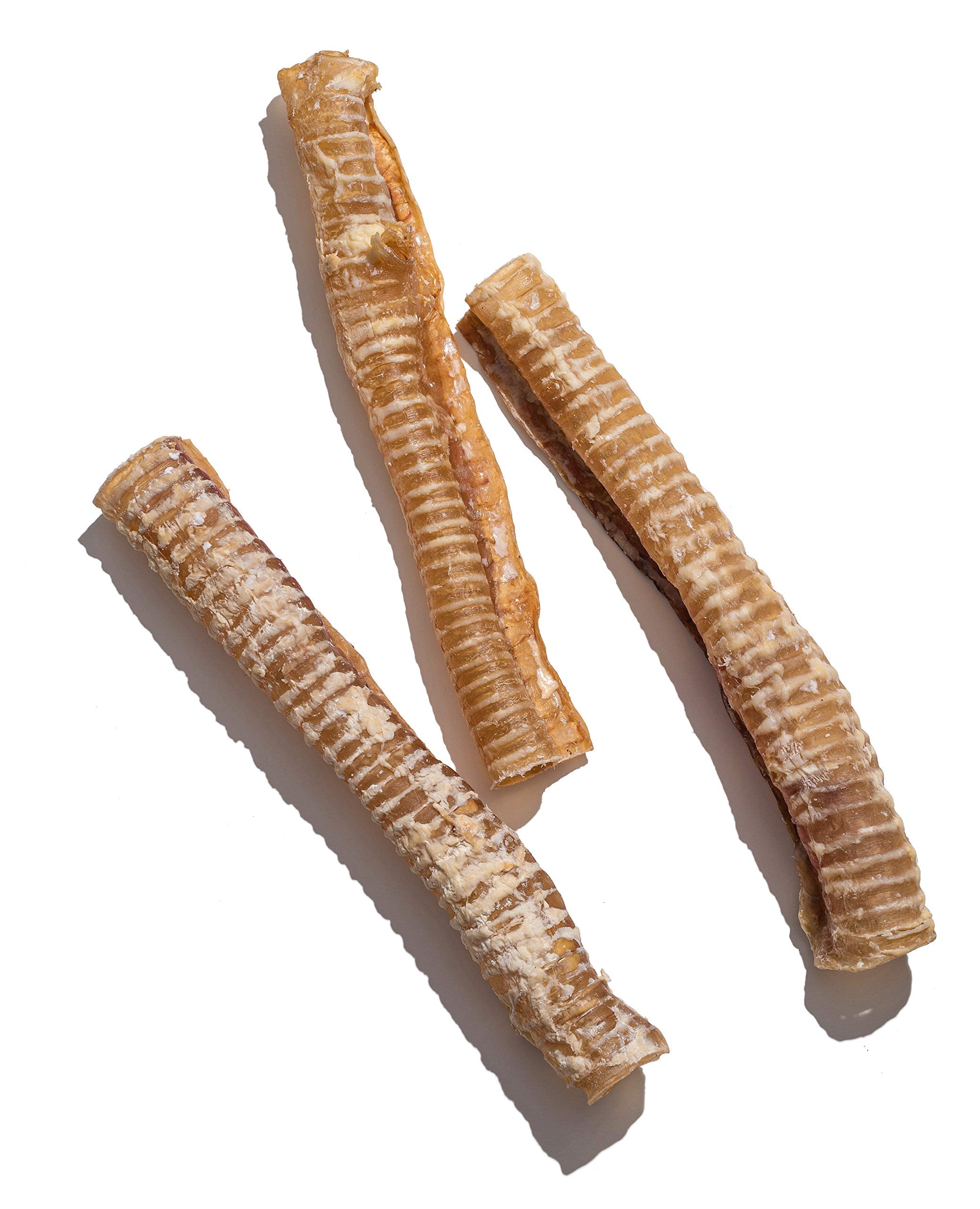 Jack&Pup 6 Inch Trachea Dog Chew | Single Ingredient Beef Trachea Treats for Dogs | Naturally Rich in Glucosamine and Chondroiti