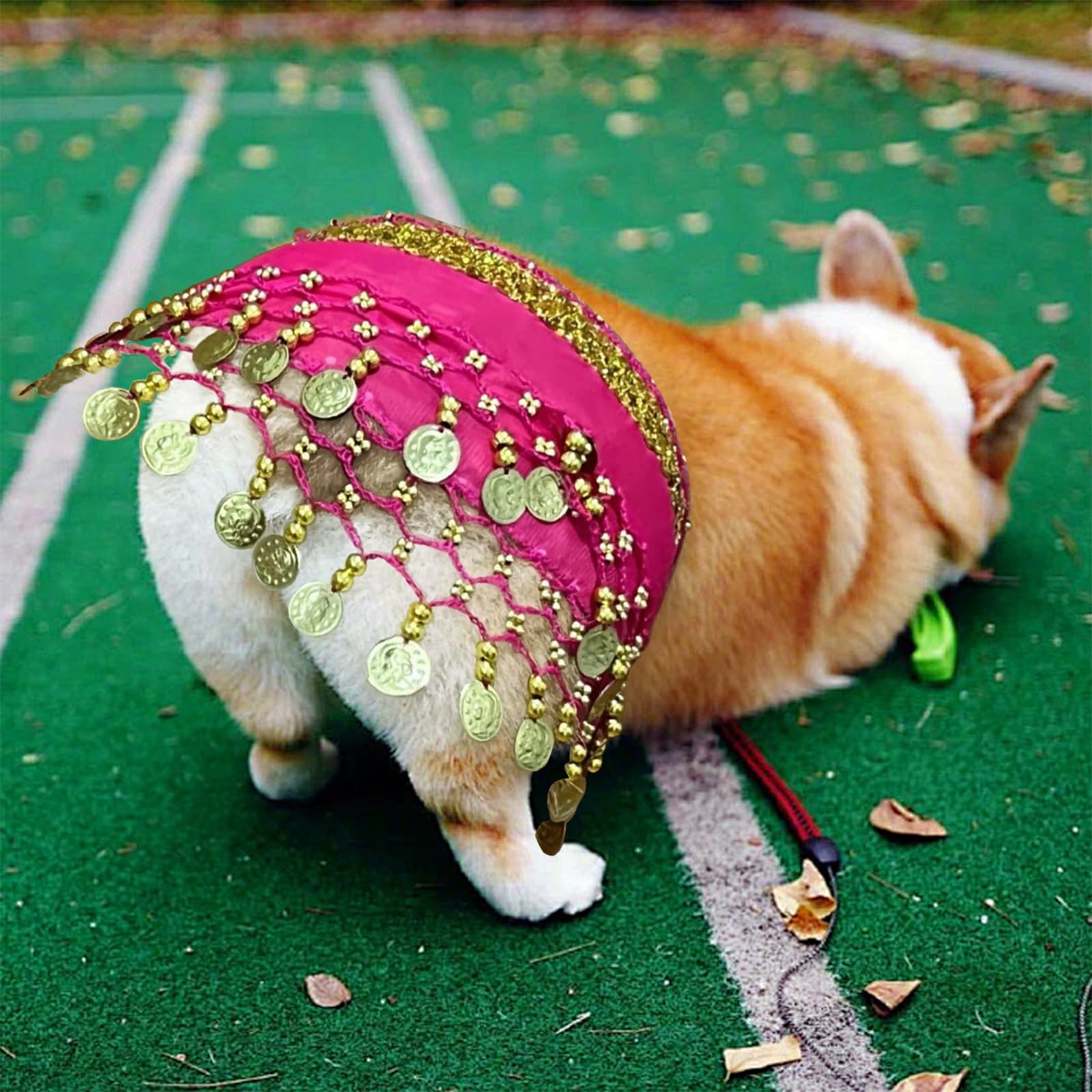 Agloo Funny Dog Belly Dancer Costume - Shaking Hip Outfit With Sequin Butt Clothes,Scarf For Pet Cosplay Parties (Pink)