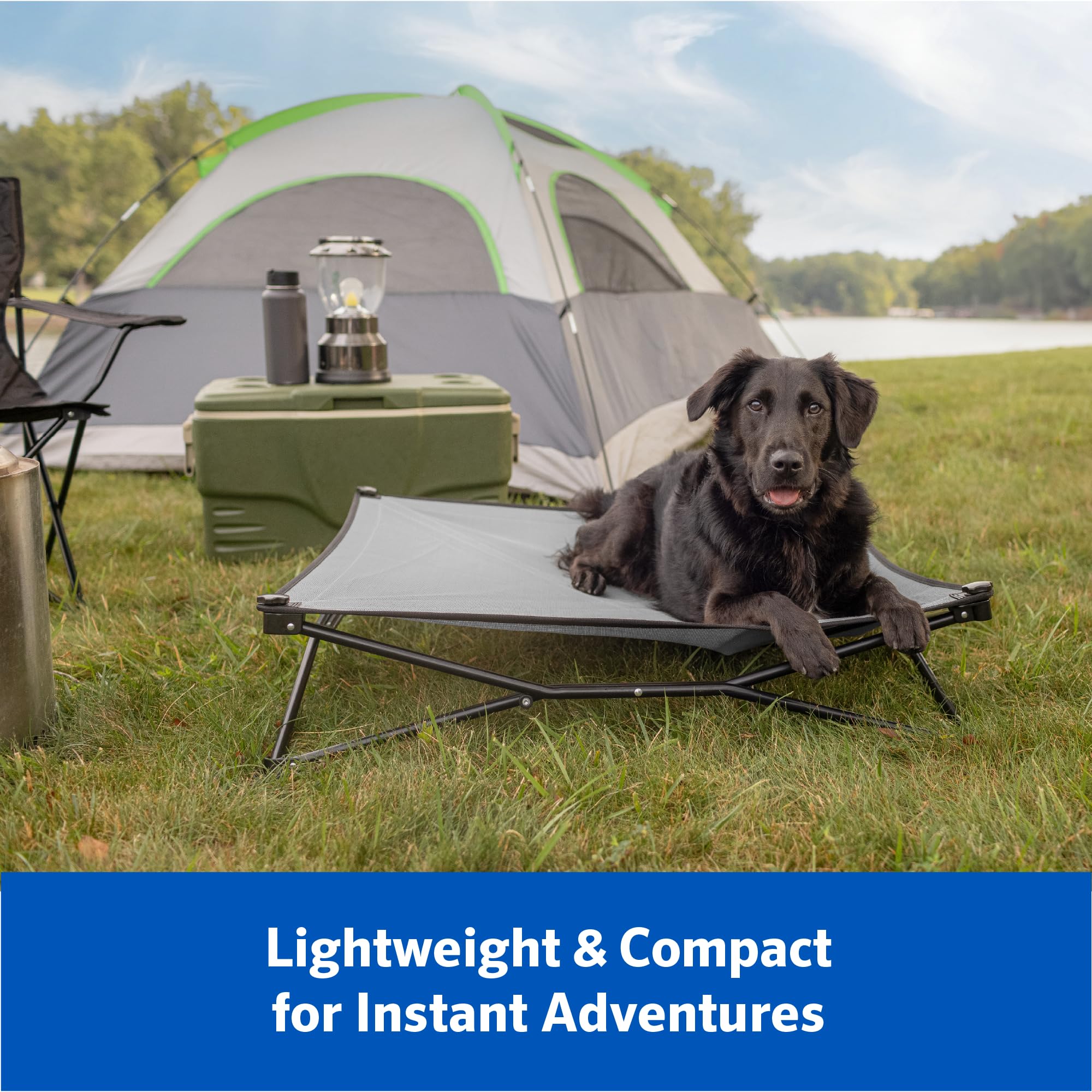 Coolaroo On-The-Go Elevated Dog Bed Kit - Portable & Cooling Travel Cot With Heatshield Fabric For Medium Dogs, Lightweight & Co