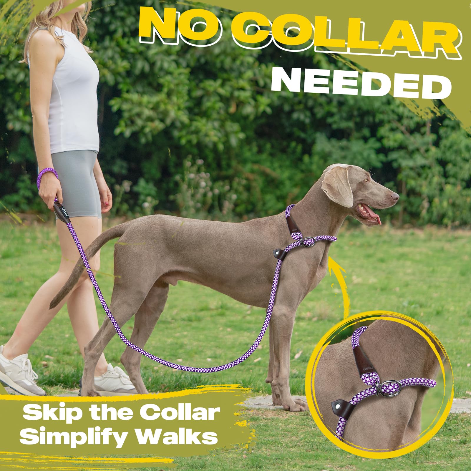 Fida Durable Slip Lead Dog Leash Bulk Pack Of 5, Heavy Duty 1/2' X 6 Ft Comfortable Strong Rope Slip Leash For Large, Medium Dogs No Pull Pet Training Leash With Highly Reflective, Purple