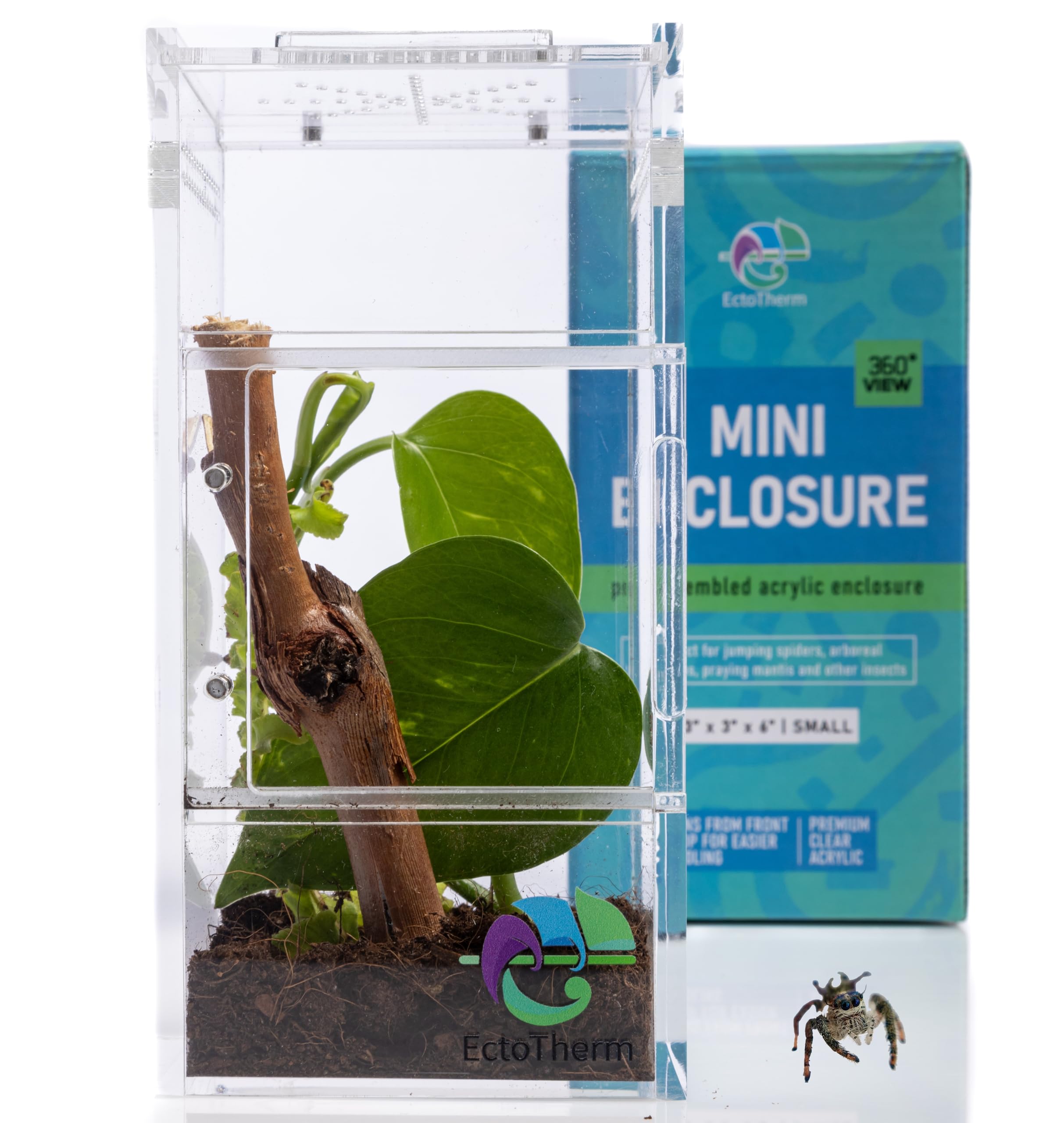 Jumping Spider Enclosure, Praying Mantis Habitat, Insect Terrarium, Bug Enclosure, Spider Cage, Jumping Spider Habitat, Spider T