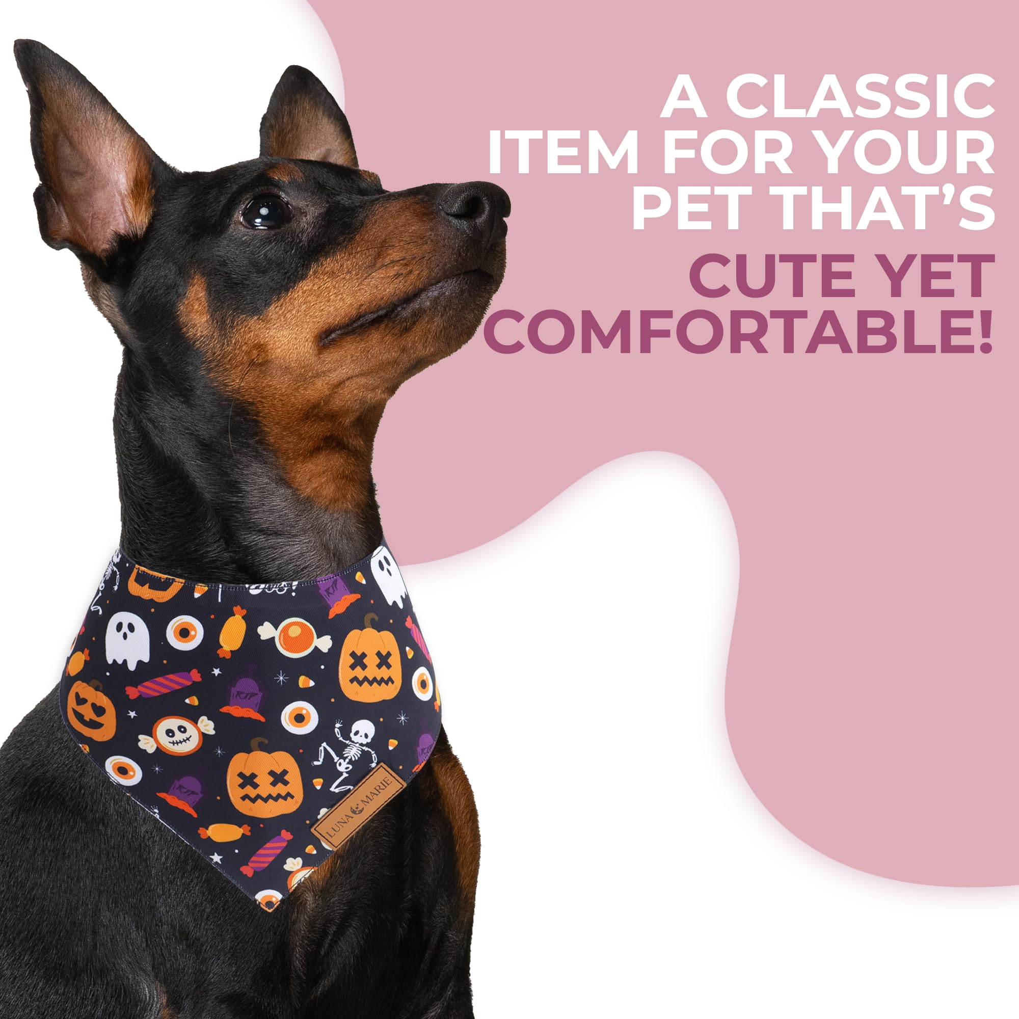 Lunamarie - Luxury Cat And Dog Bandanas - Halloween Designs | Premium Silky Poly Fabric | 100% Handmade Custom Shape Dual Layered Small, Medium, Large Cat Scarf (Trick-Or-Treat, Large)