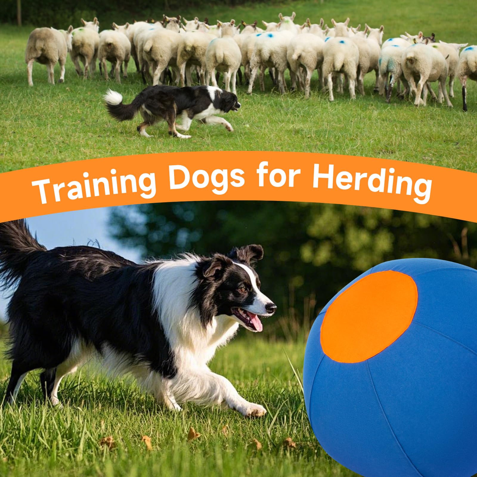 Tailwaggers Jingle Herding Ball For Dogs,Durable Cover For Long-Lasting Dog Toys, For Exercise And Entertainment Dogs In Backyar