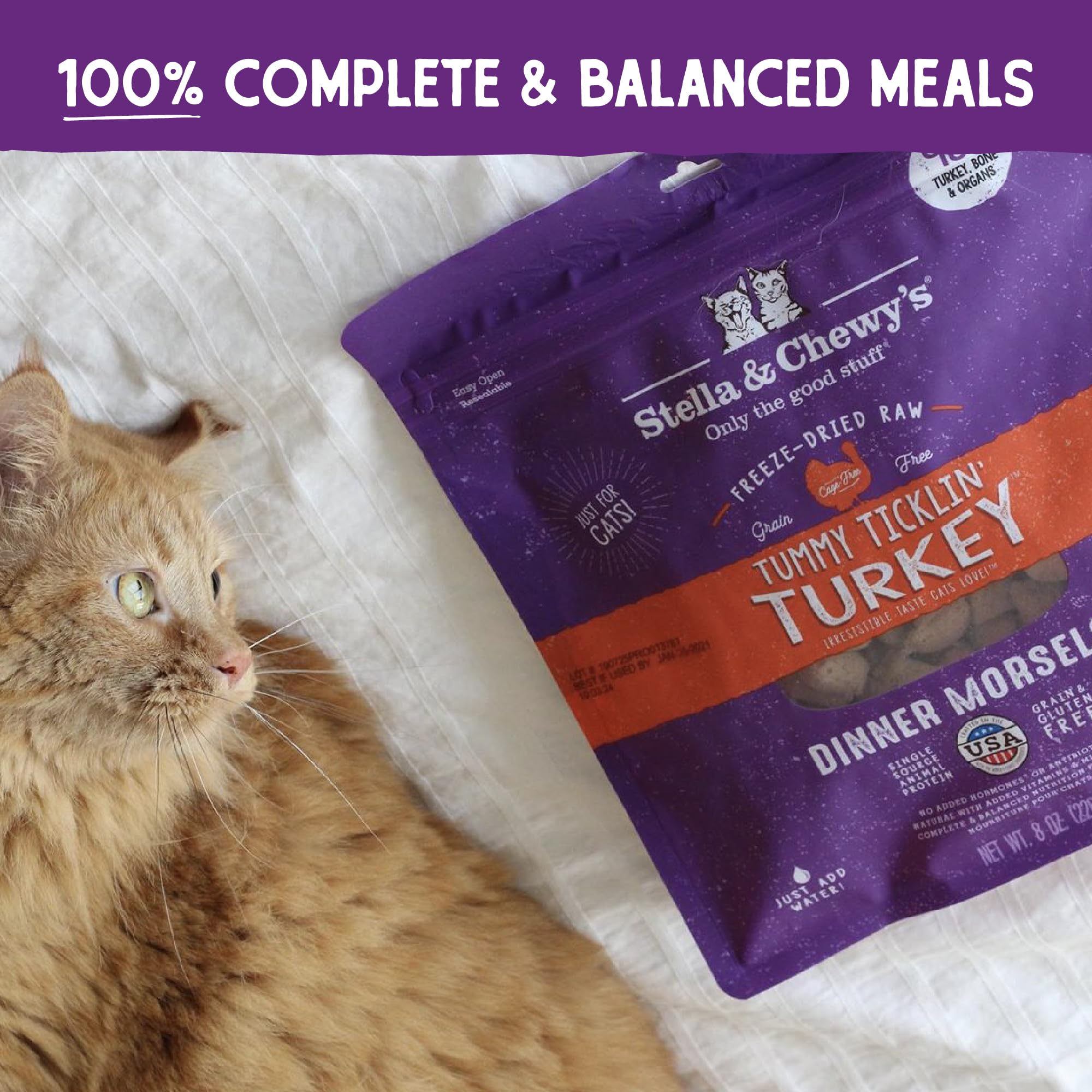 Stella & Chewys Freeze-Dried Raw Cat Dinner Morsels - Grain Free, Protein Rich Cat & Kitten Food - Tummy Ticklin Turkey Recipe -