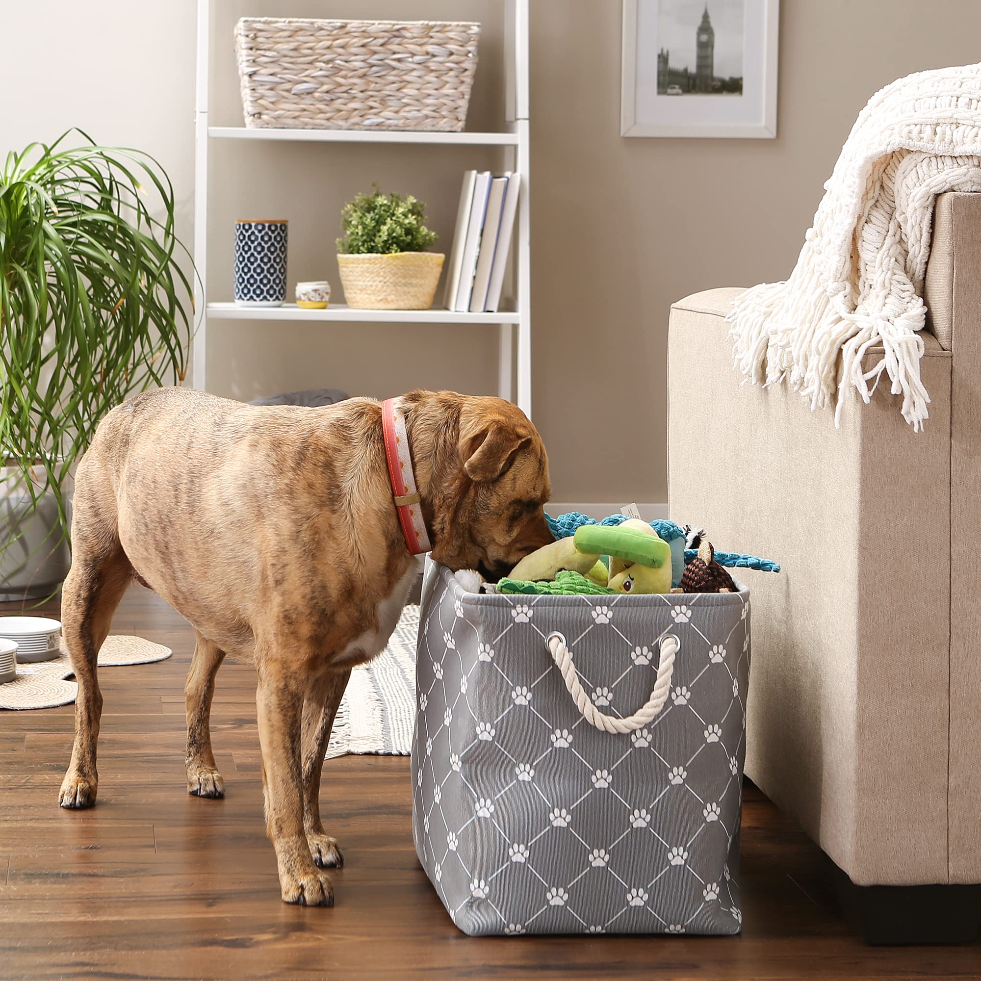 Bone Dry Pet Storage Paw and Bone, Trellis Collection, Large Rectangle, 17.5x12x15 Gray