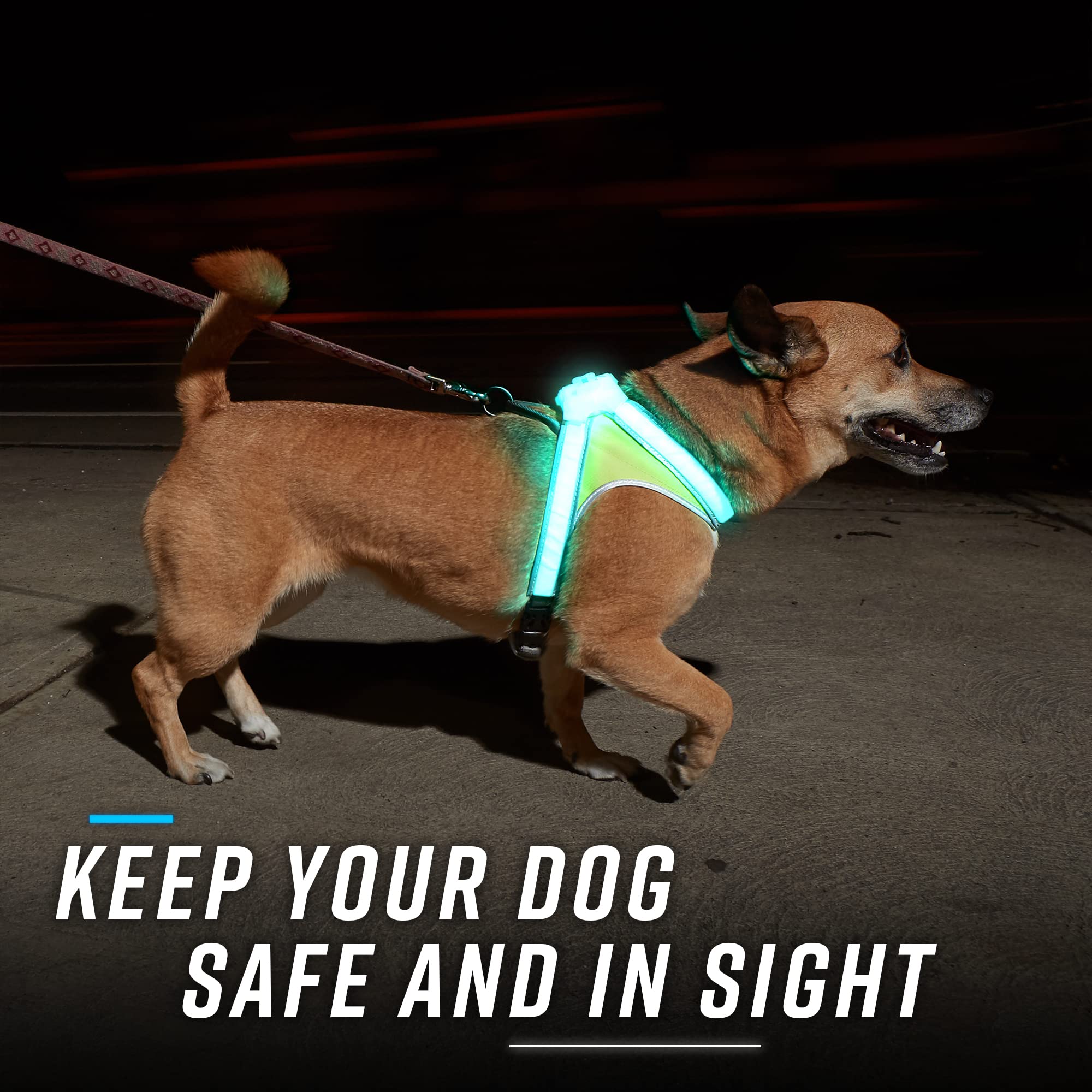 Noxgear LightHound (X-Large) + High-Visibility Dog Leash - Illuminated and Reflective Harness for Dogs Including Multicolored LE