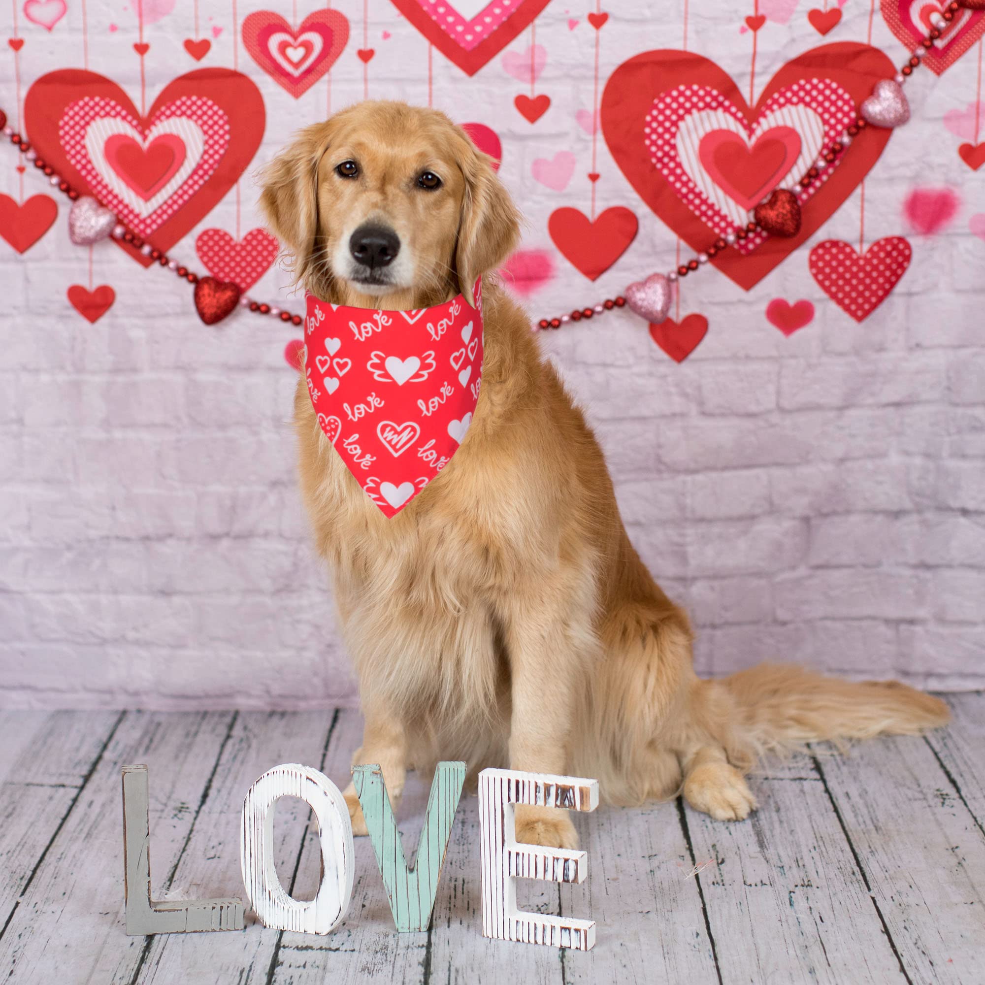 Adoggygo Valentine Dog Bandana, Multiple Sizes Offered, Triangle Dog Scarf Valentine Bandana For Medium Large Dogs (Large)