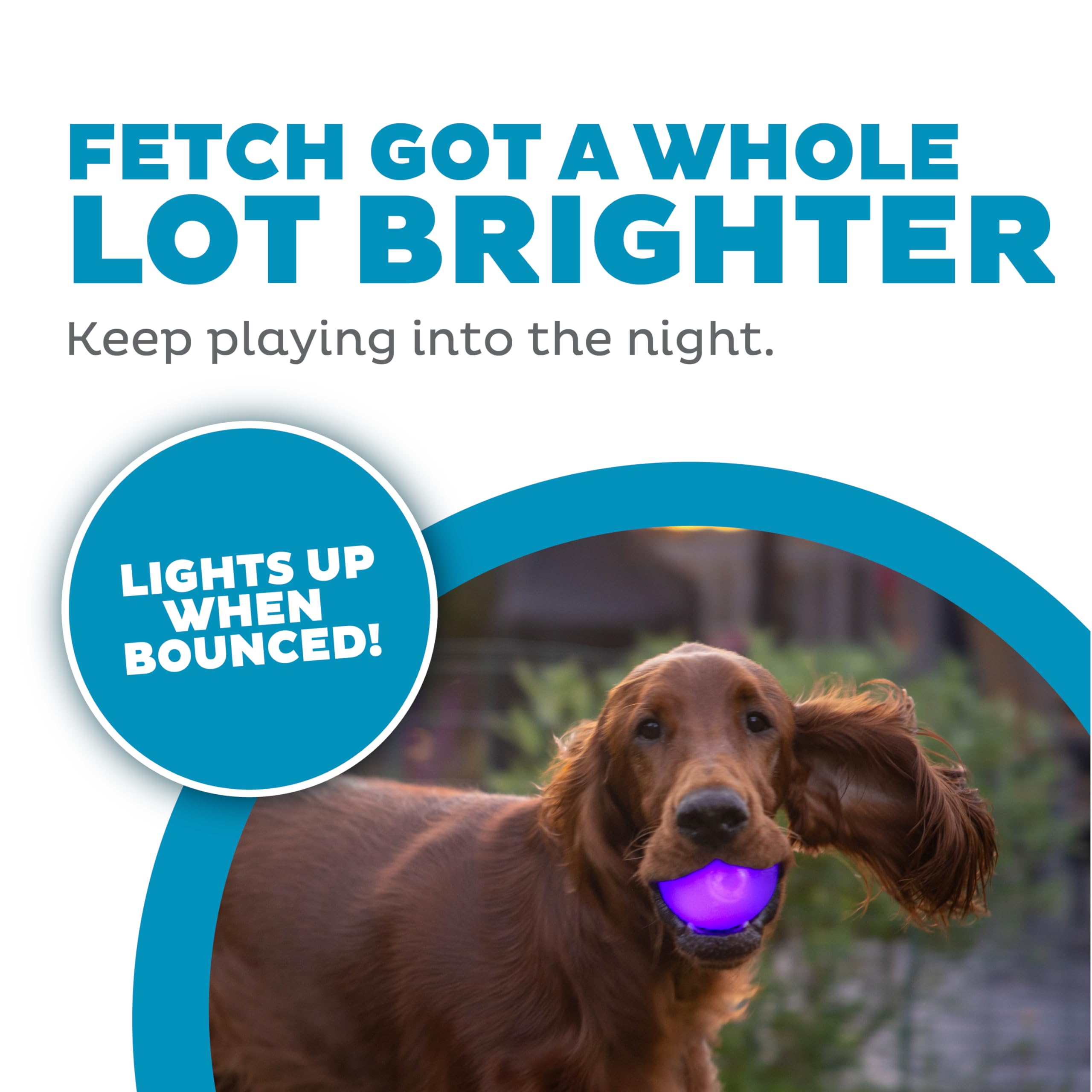 Outward Hound By Planet Dog Strobe Light Up Led Ball Dog Toy, Purple