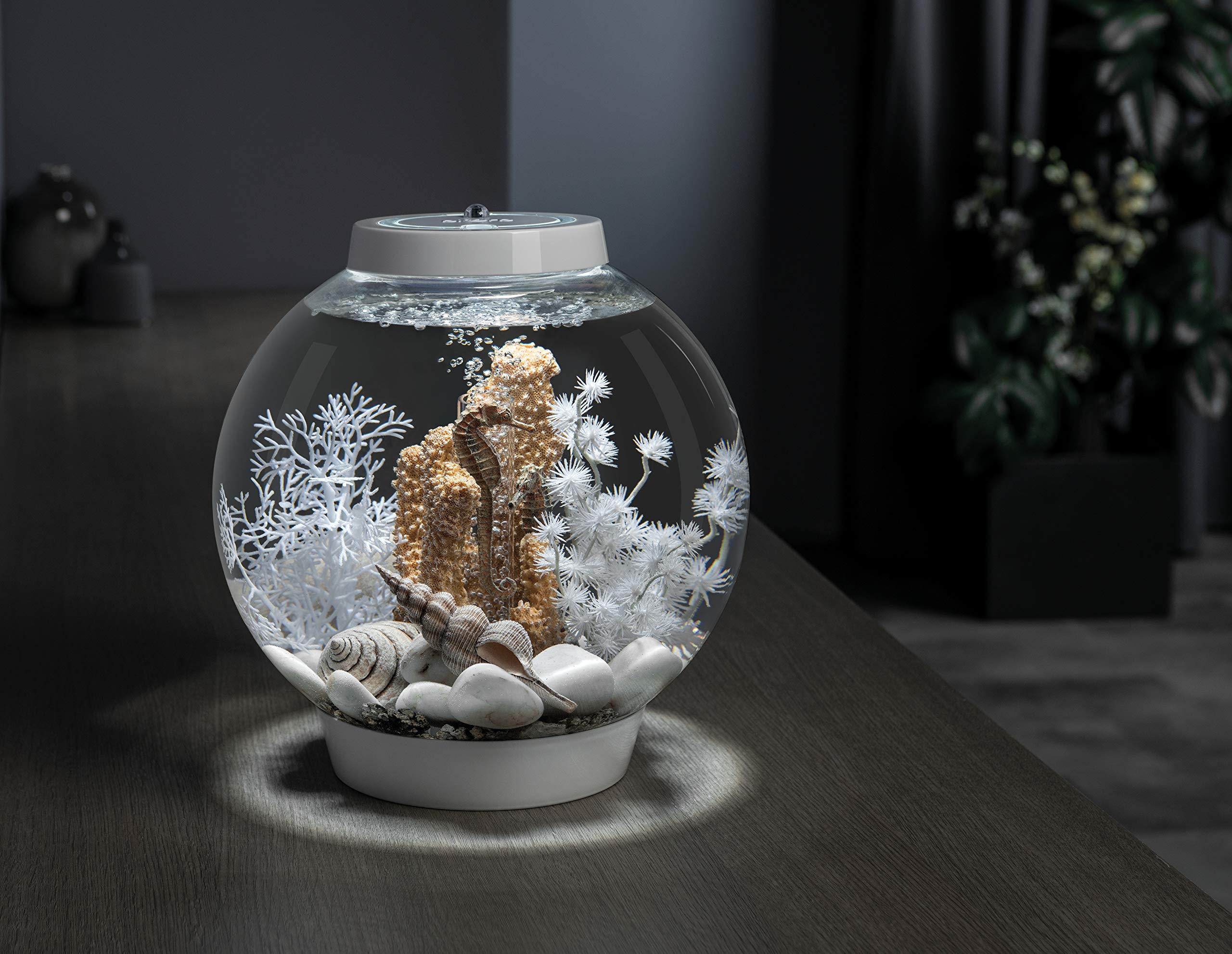 Biorb Marble Pebble Set, Solid Aquarium Decorations, White