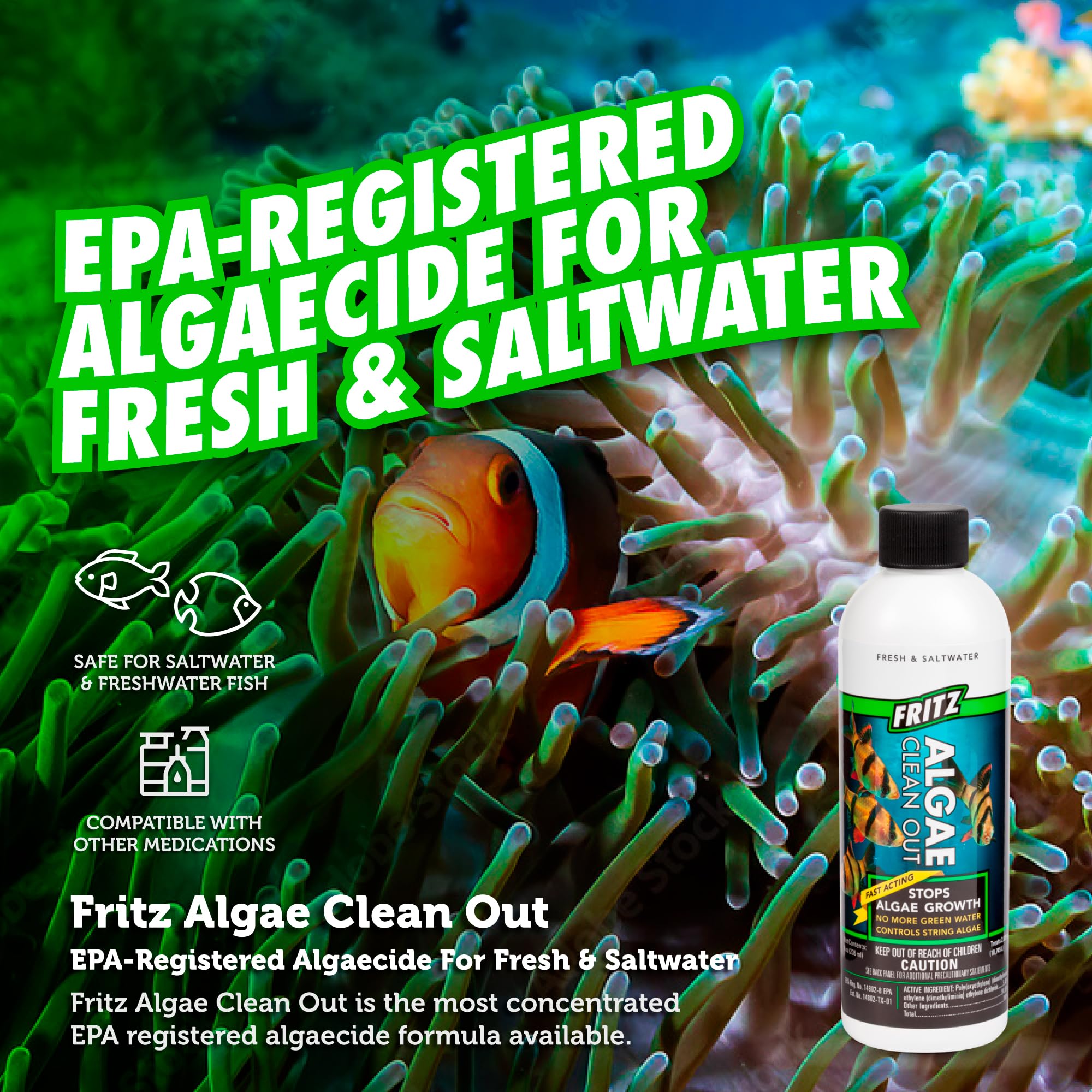 Fritz Aquatics AFA48008 Algae Clean Out for Aquarium, 8-Ounce, Model: 805000