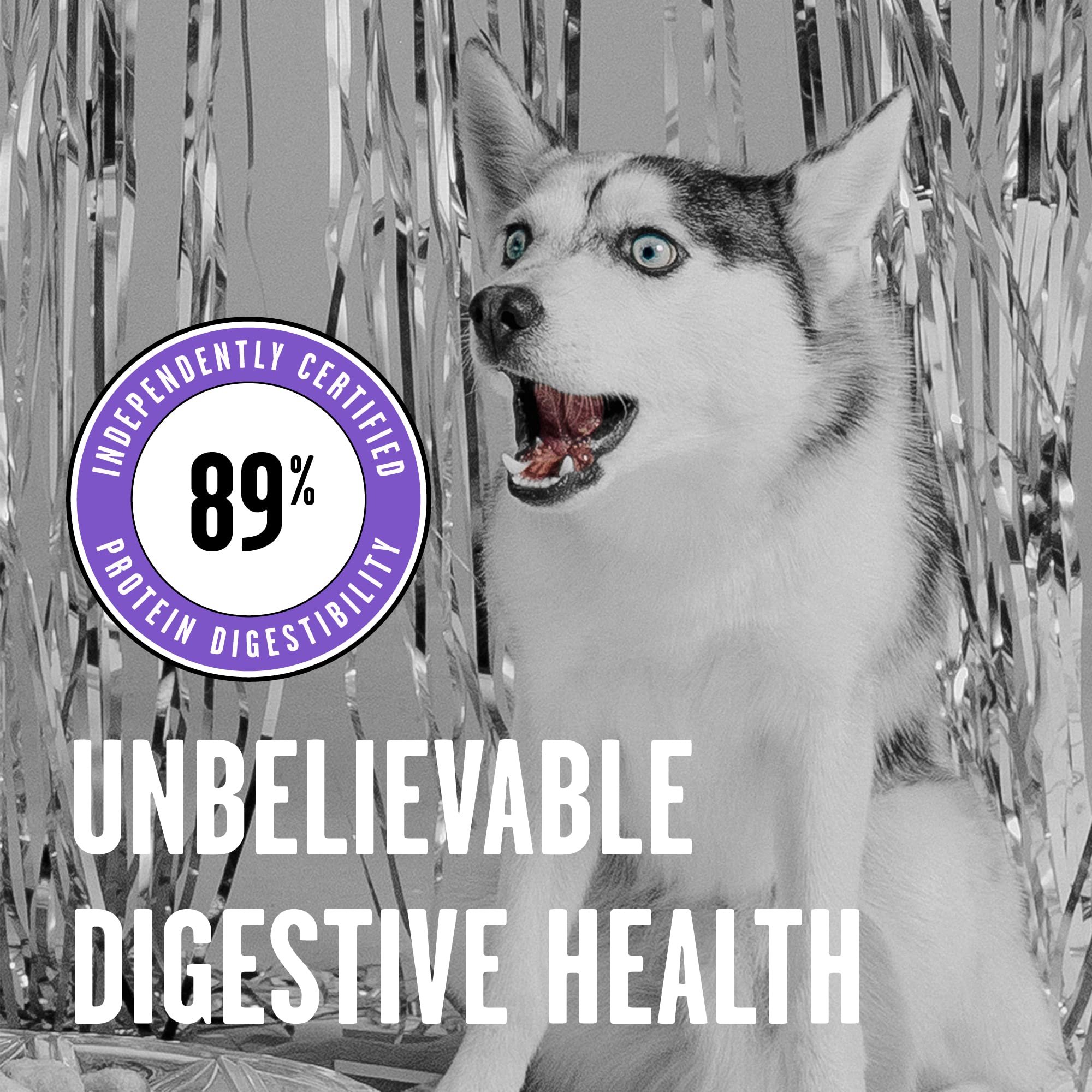 BIXBI Rawbble Dry Dog Food, Lamb, 24 lbs - USA Made with Fresh Meat - No Meat Meal & No Corn, Soy or Wheat - Freeze Dried Raw Co