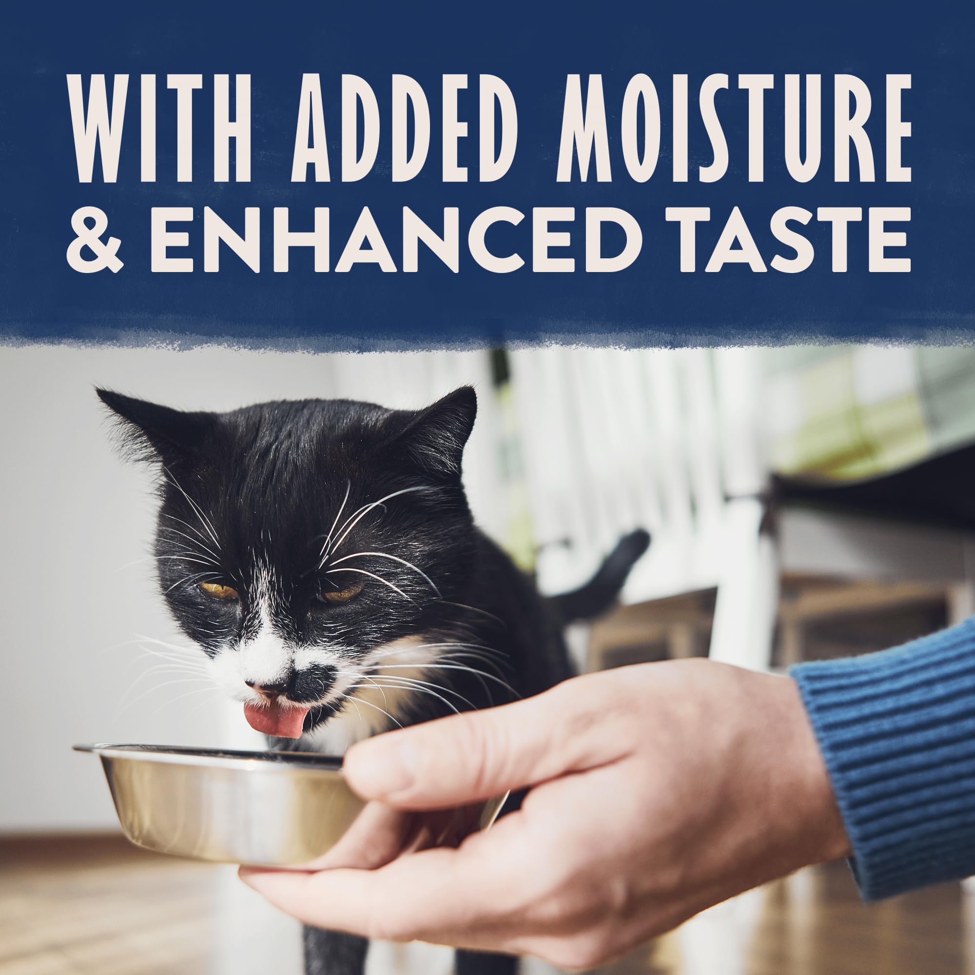 Natural Balance Limited Ingredient Split Cup Variety Pack - Chicken and Duck with Sweet Potato Recipe Soft Pate Wet Cat Food for