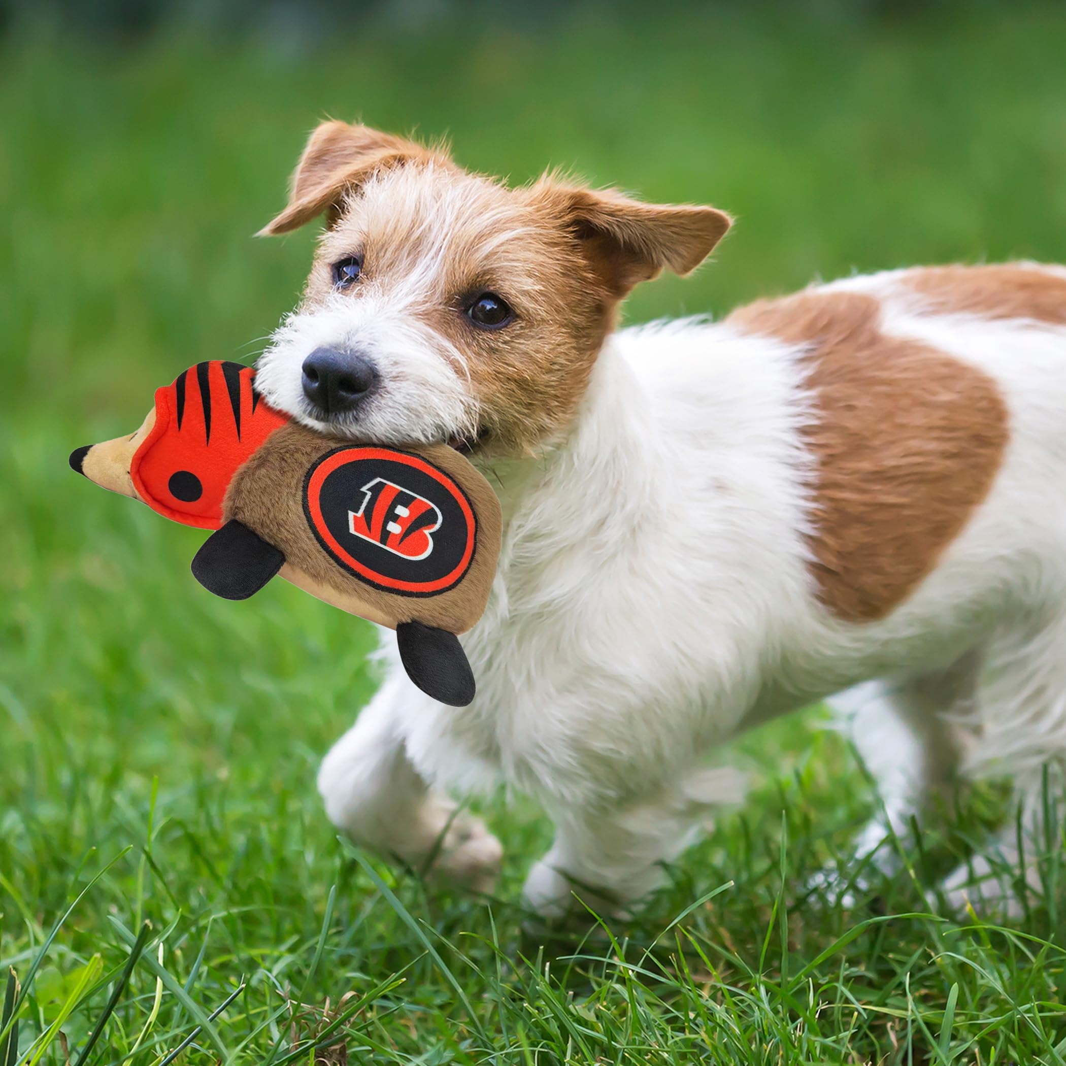Nfl Cincinnati Bengals Plush Hedgehog Toy For Dogs & Cats, Cool Soft Pet Toy For Fun And Interactive Play, Dog Chew Toy With Squ