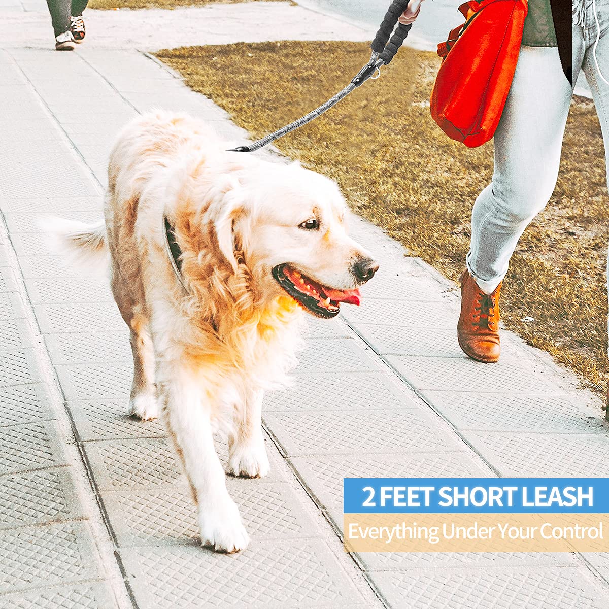 Baapet 2/4/5/6 Ft Dog Leash With Comfortable Padded Handle And Highly Reflective Threads For Small Medium And Large Dogs (2Ft-1/2'', Grey)