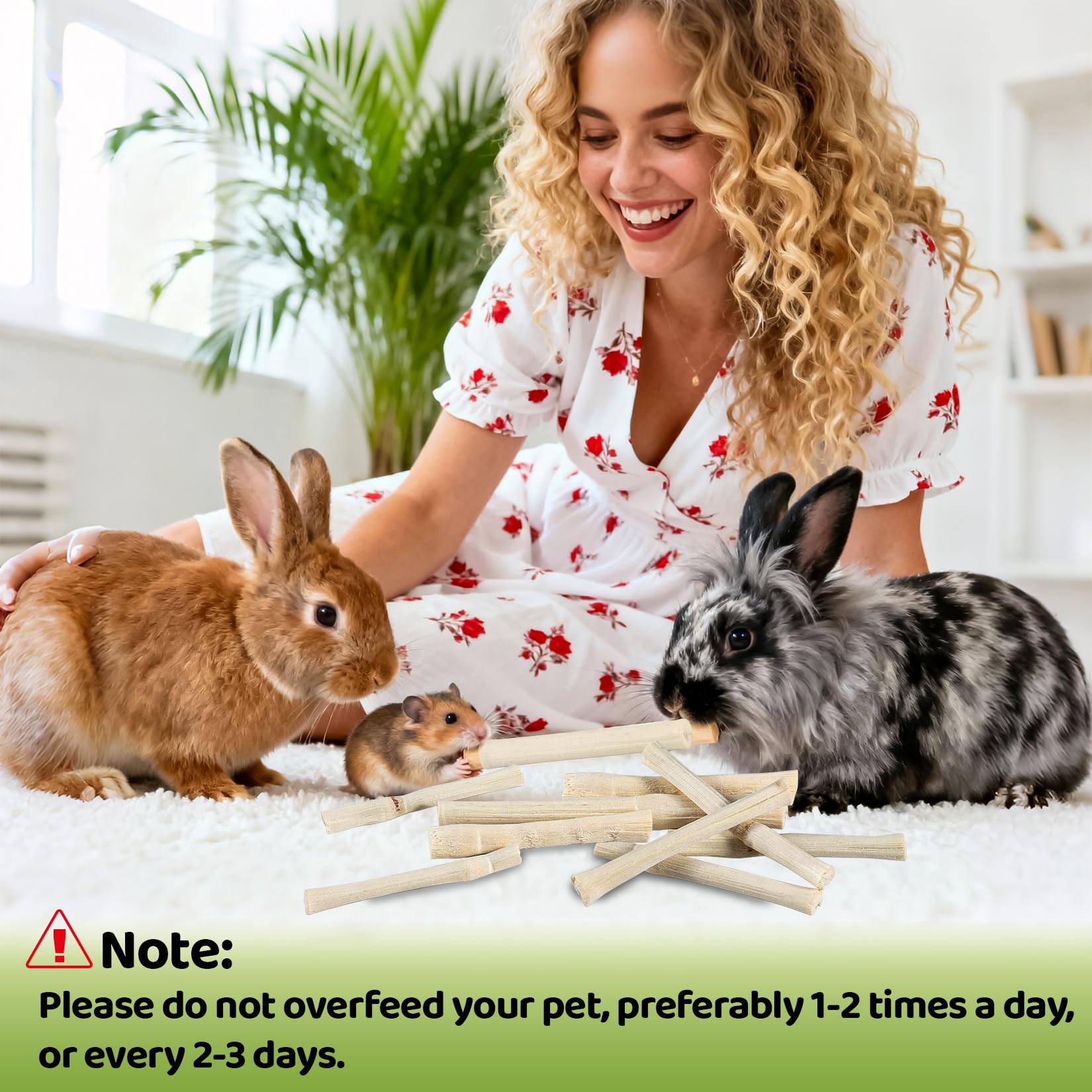 Sukh 240g Sweet Bamboo Chew-Sticks - Natural Rabbit Bamboo Sticks Small Animal Chew Toy Bunny Molar Treats Atural Teeth Grinding