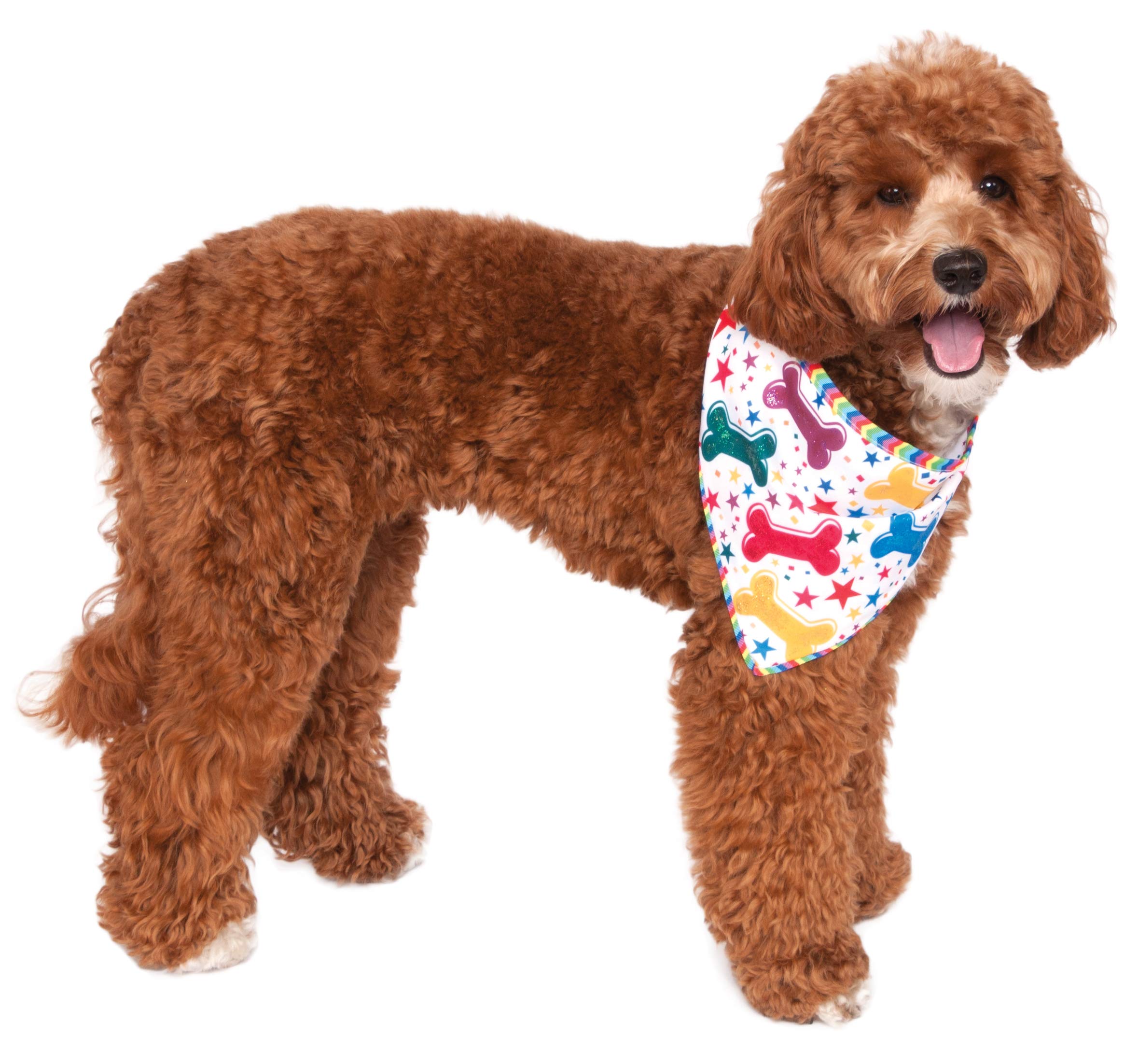 Rubie'S It'S My Bark Day Reversible Pet Bandana, Medium/Large As Shown