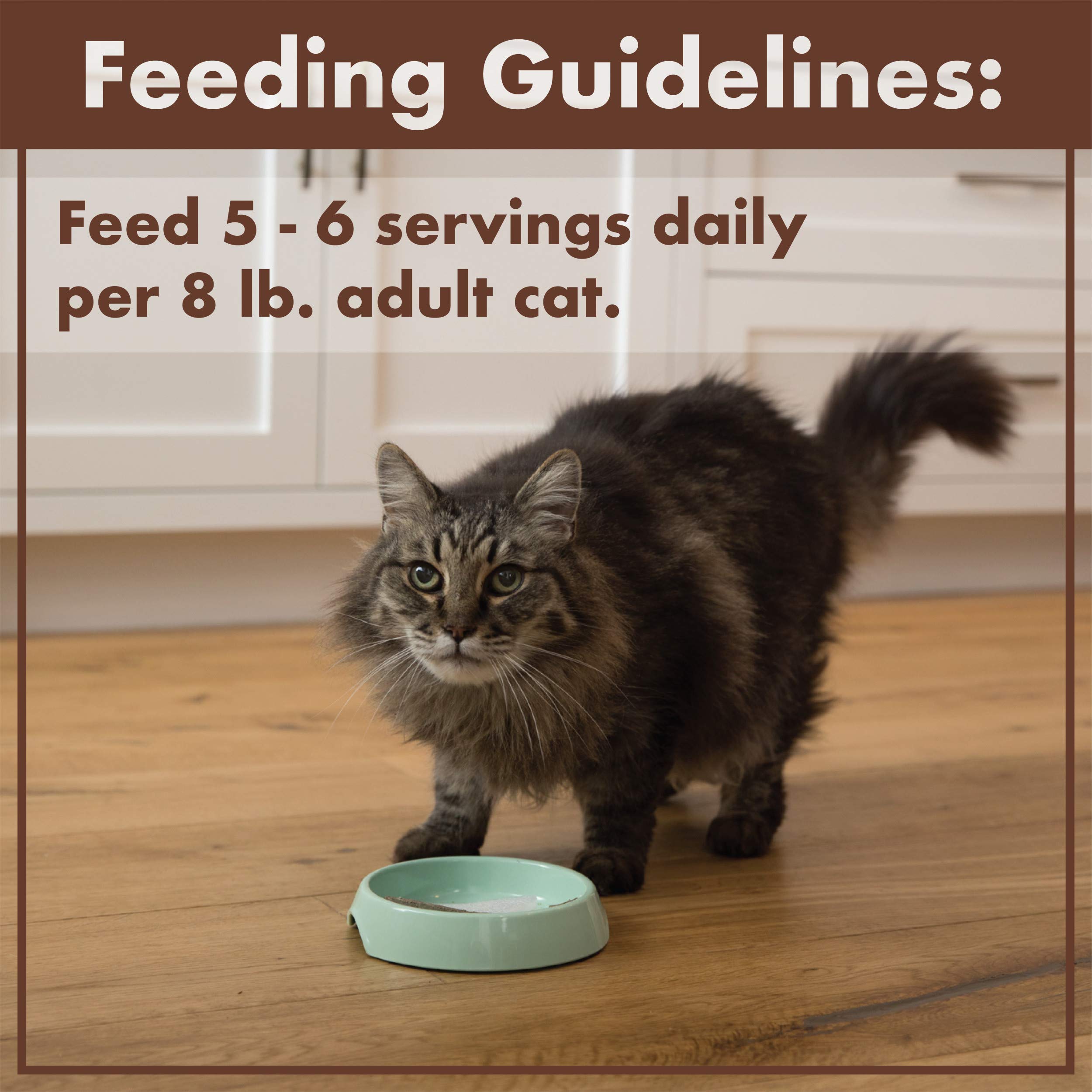 NUTRO Grain Free Natural Soft Wet Cat Food Cuts in Gravy Turkey Recipe, (24) 2.6 oz. PERFECT PORTIONS Twin-Pack Trays