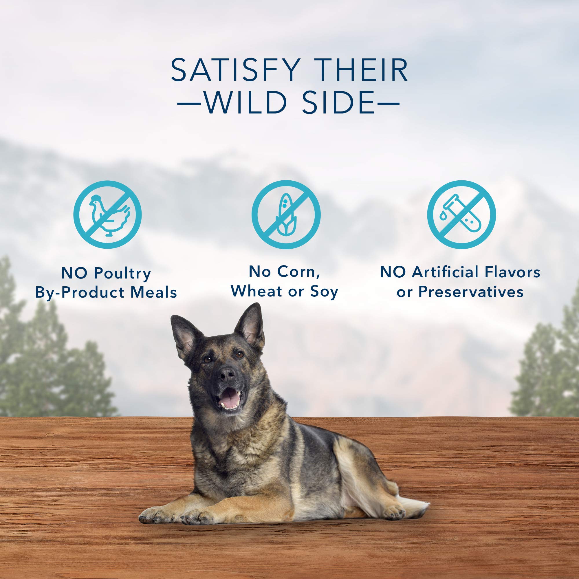 Blue Buffalo Wilderness Wild Bones Grain-Free Dental Chews Dog Treats, Large, 27-oz Bag