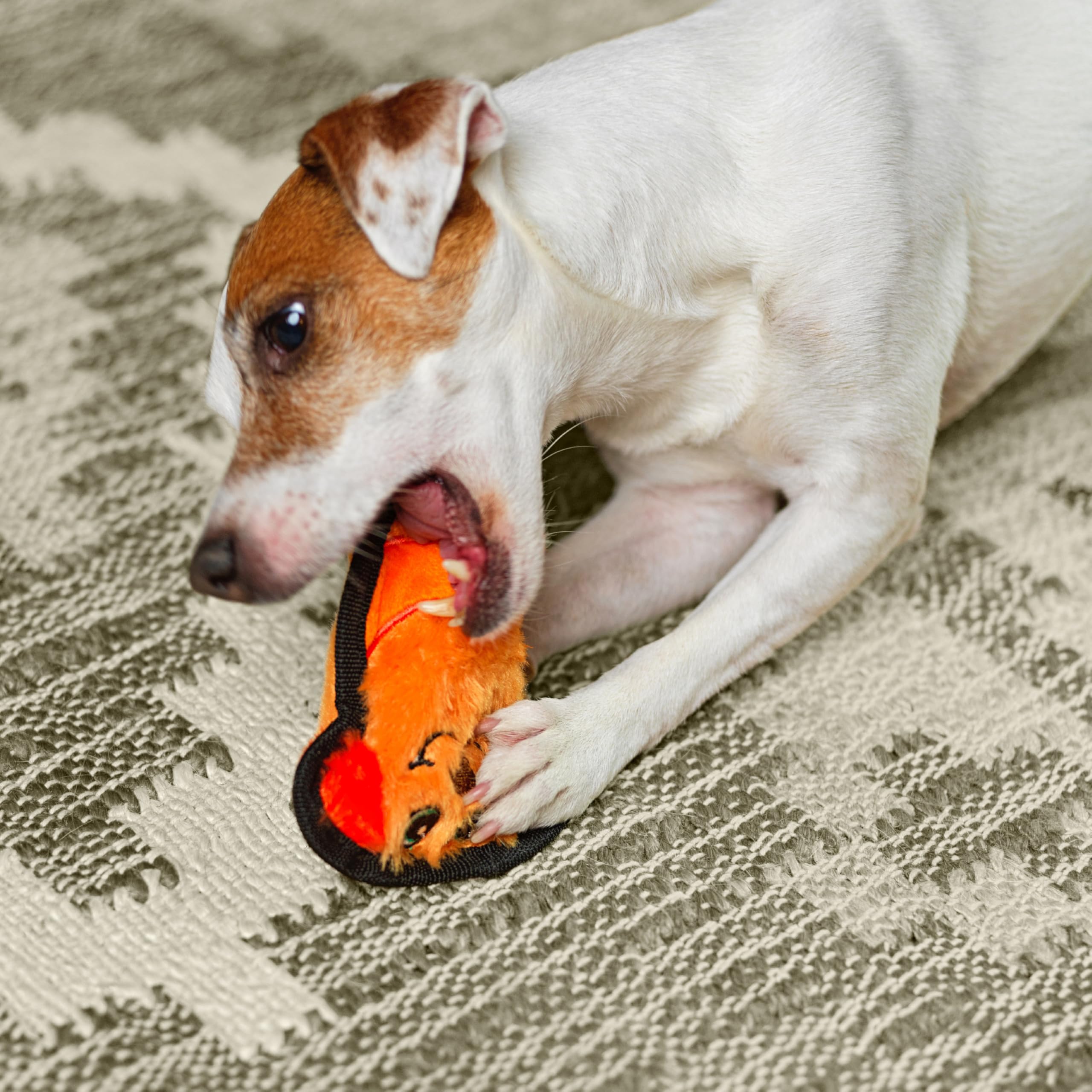 Outward Hound Durablez Tough Plush Squeaky Dog Toy, Dog, Orange, Xs
