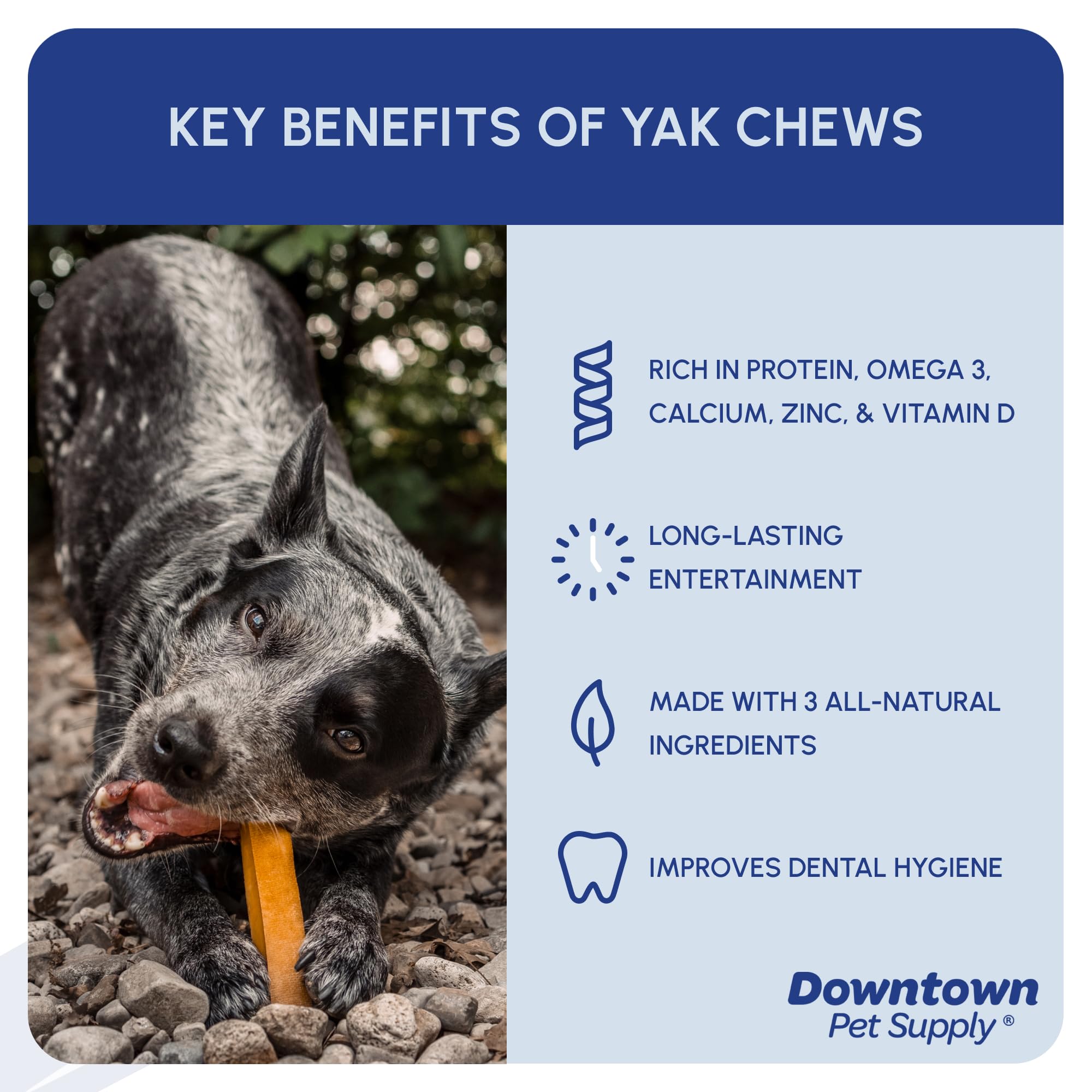 Downtown Pet Supply Yak Cheese Himalayan Dog Chews - Large Yak Chews Rich in Nutrients for Medium to Large Dogs - Long Lasting,