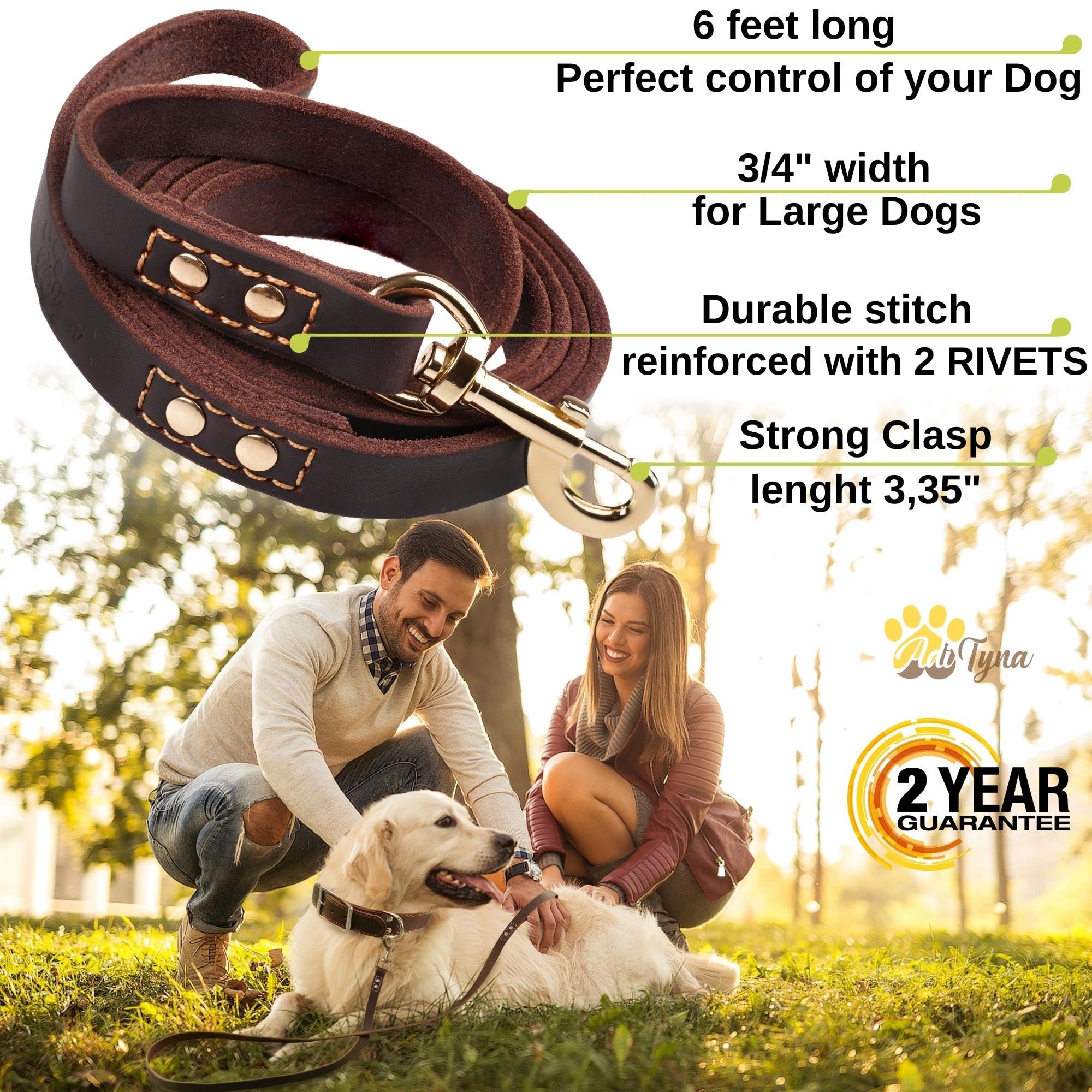 Leather Dog Leash 6 Ft X 3/4 Inch - Soft, Strong, Heavy Duty For Large & Medium Breeds - Dog Lead For Walking (Brown - Gold Colo