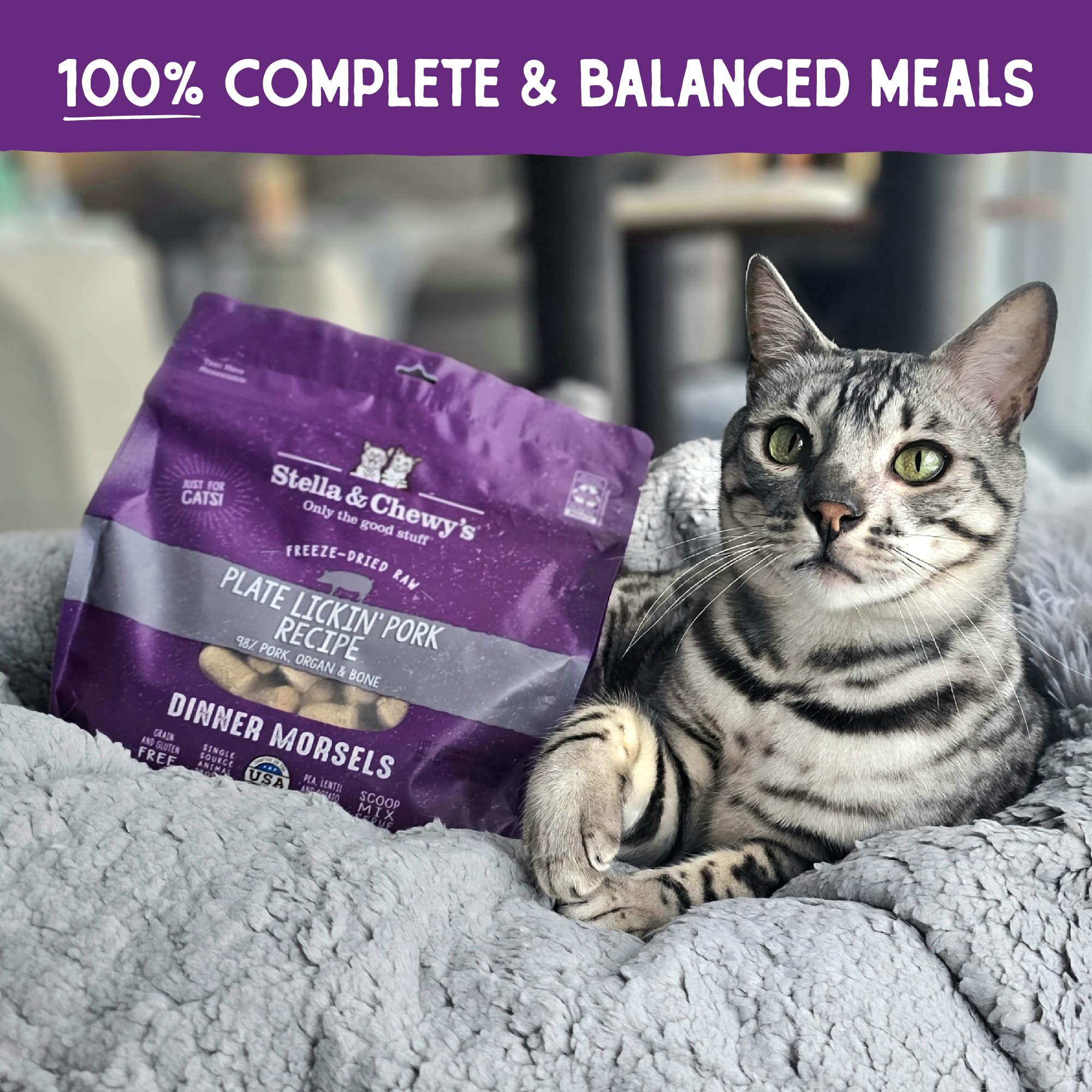 Stella & Chewys Freeze-Dried Raw Cat Dinner Morsels - Grain Free, Protein Rich Cat & Kitten Food - Plate Lickin Pork Recipe -