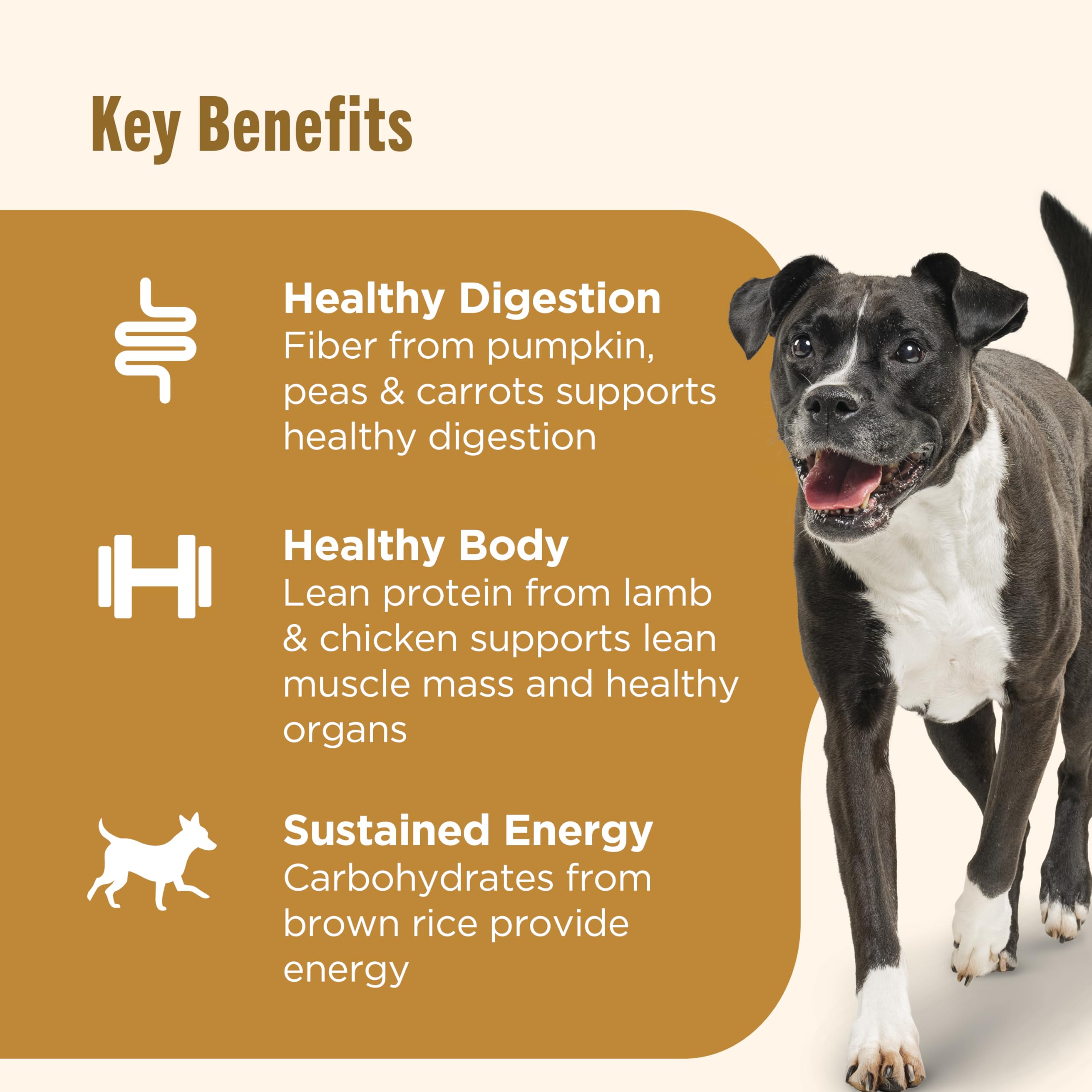 Nutrish Rachael Ray Chunks in Gravy Gentle Digestion Wet Dog Food, Real Lamb, Pumpkin & Chicken Recipe, 13 oz. Cans (Pack of 12)