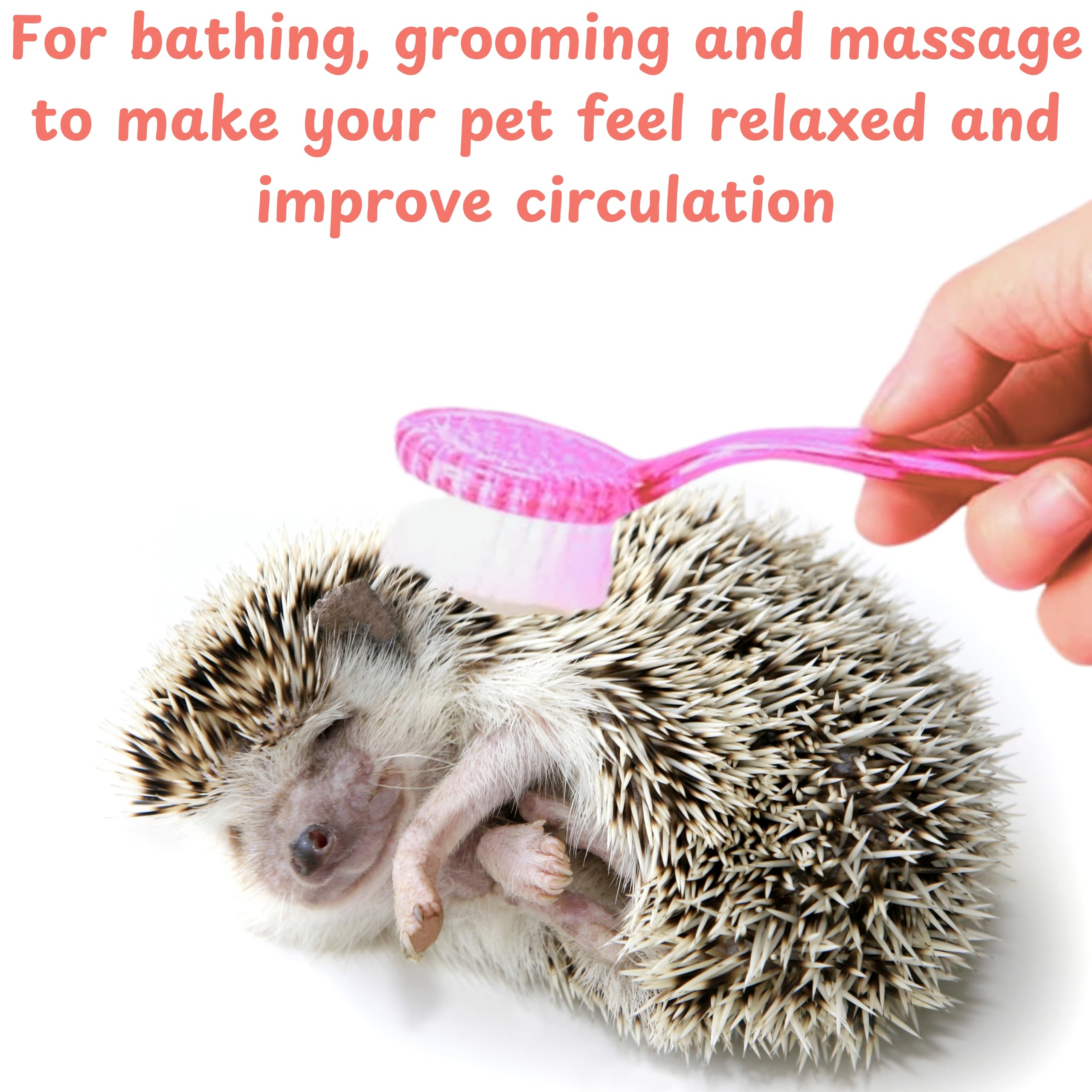 Hedgehog Toe Nail Clippers And Comb Set, 2 Pcs Hedgehog Soft Cleansing Brush And Toenail Clipper With Magnifier, Hedgehogs Massa
