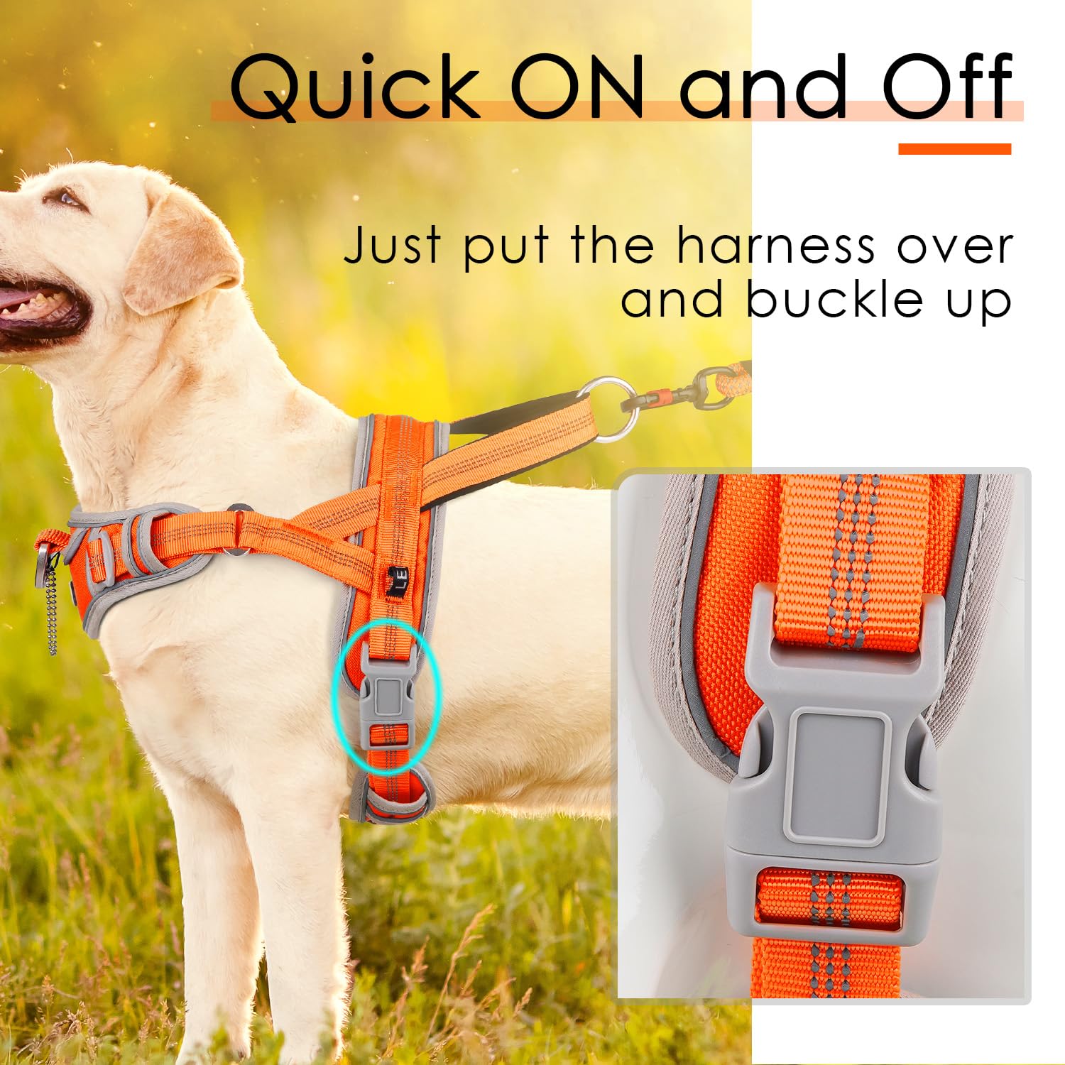 ADVENTUREMORE Medium Dog Harness - No Pull, Reflective, Adjustable, Escape Proof, Orange, Model CPHA-0415