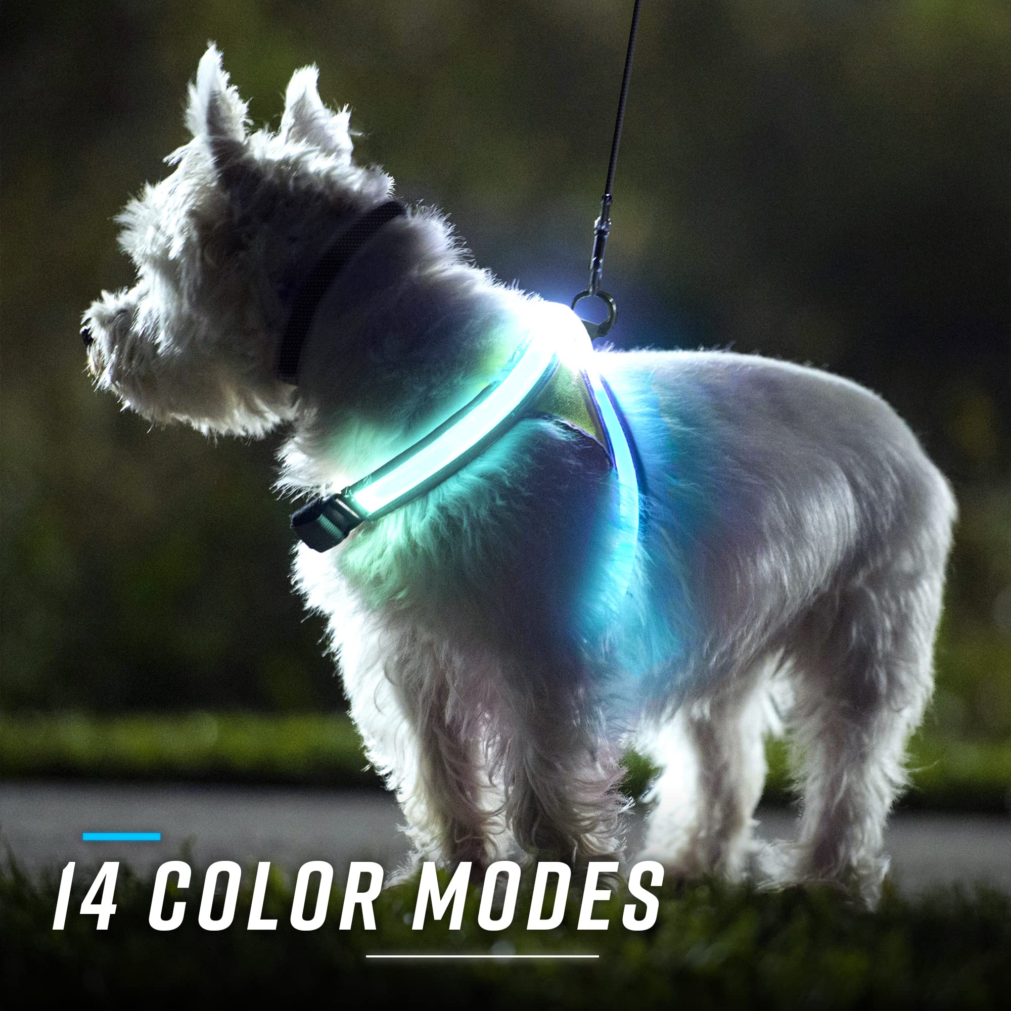 Noxgear LightHound (Large) + High-Visibility Dog Leash - Illuminated and Reflective Harness for Dogs Including Multicolored LED