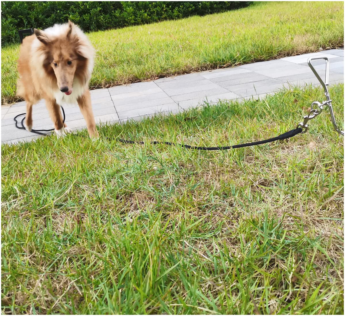 Sepxufore Tie Out Dog Leash, Strong Nylon Rope 8-10-13-15-20-25-30-35-40-45-50 Ft Heavy Duty Check Cord For Medium Large Dogs In