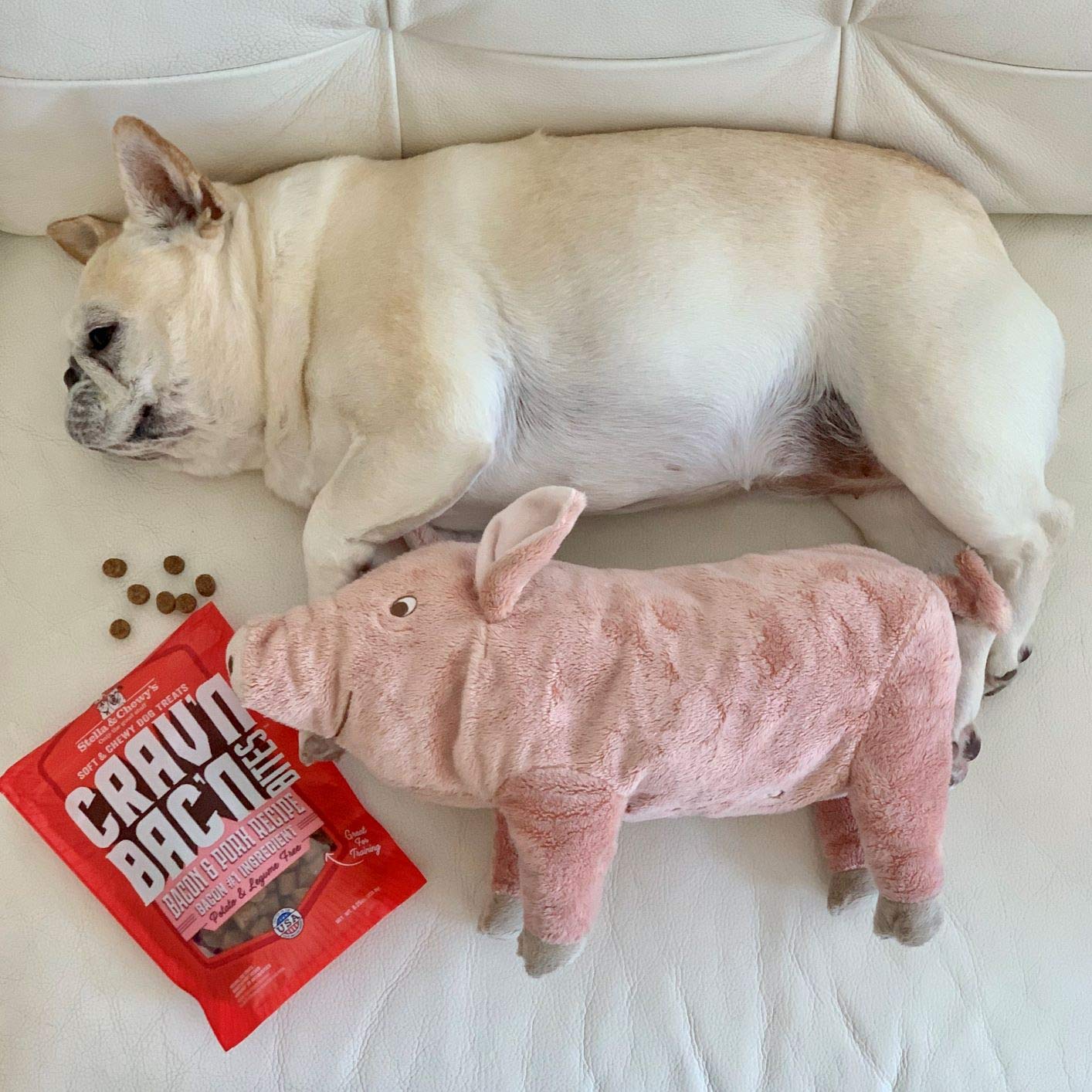 Stella & Chewys Cravn Bacn Dog Treats Bacon & Chicken Recipe, 8.25 oz. Bag