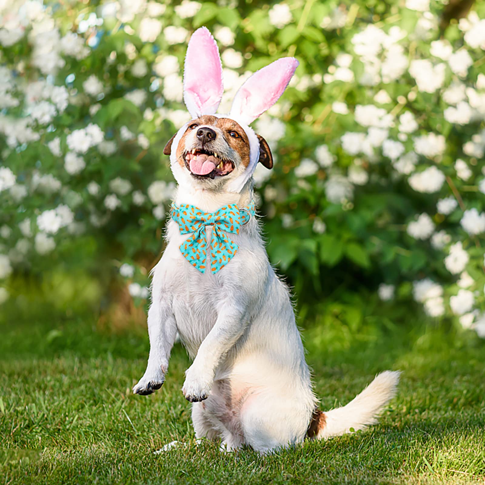 Babole Pet Dog Collar Easter Gift With Tie,Carrot Male Dog Collar With Safety Metal Buckle Adjustable Puppy Collars For Small Medium Large Boy & Girl Dog,Xs-Neck 8'-12'
