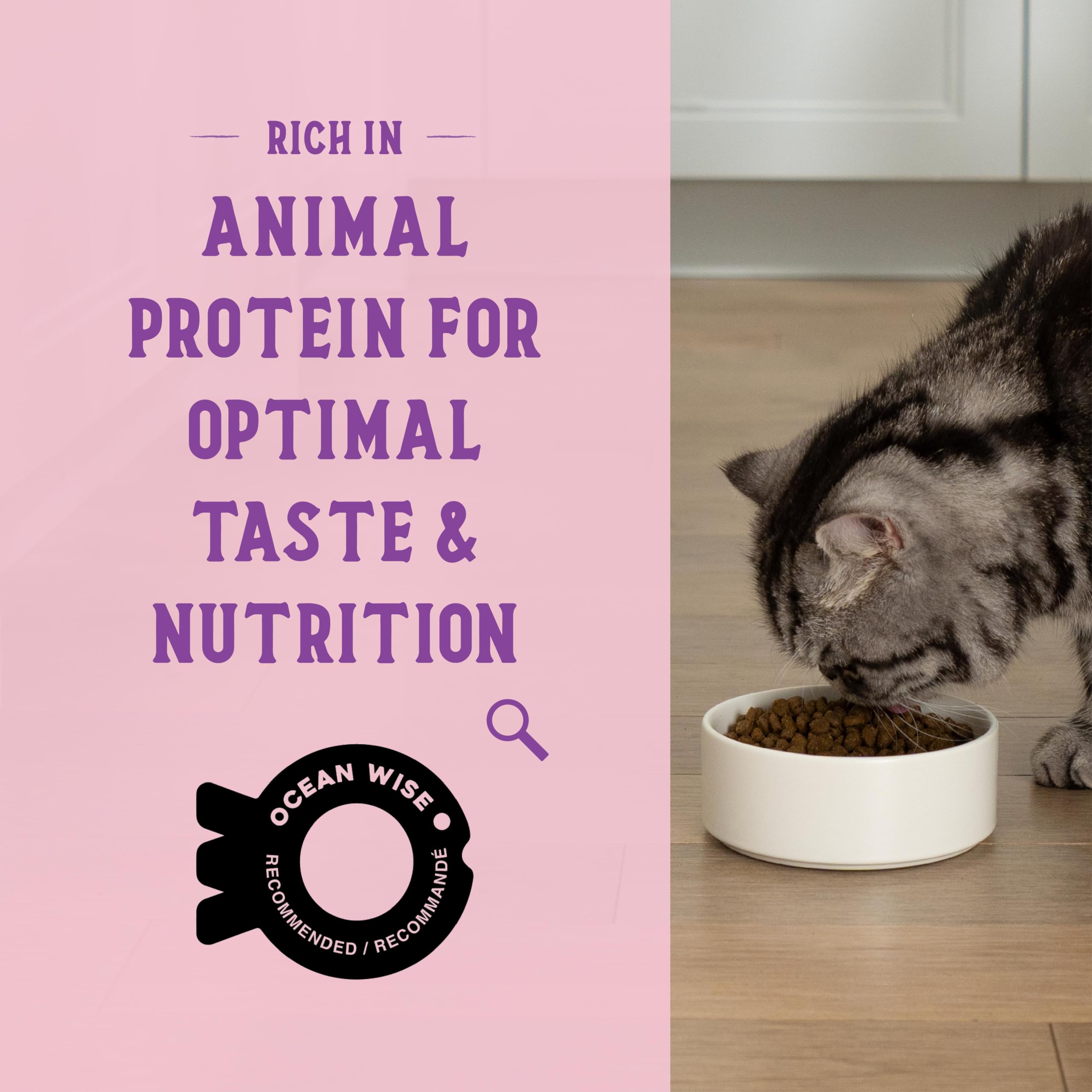 Open Farm Goodbowl, Protein Rich Dry Cat Food Made from Meticulously Sourced Simple Ingredients, Wild-Caught Salmon & Brown Rice