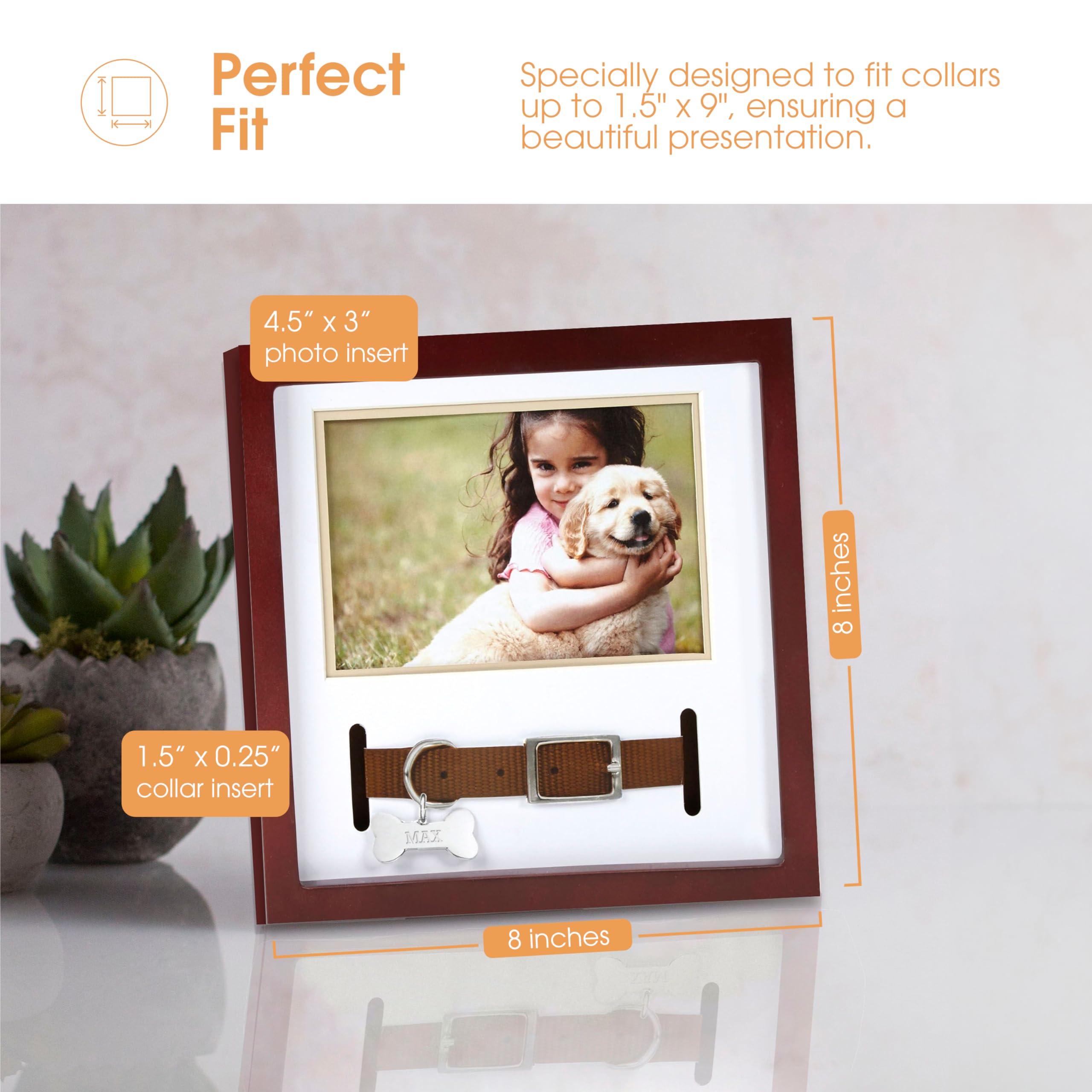 Pearhead Pet Collar Keepsake Frame - Dual Display Memorial Keepsake For Cat & Dog Collars, Wall Mount Or Tabletop, Ideal Gift And Home Decor For Pet Owners, 3' X 4.5' Photo Insert, Espresso