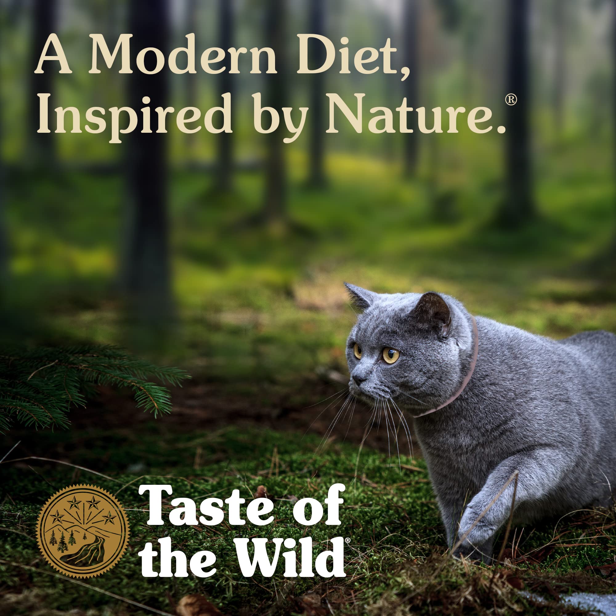 Taste of the Wild Rocky Mountain Feline Recipe with Salmon & Venison in Gravy Salmon 3oz