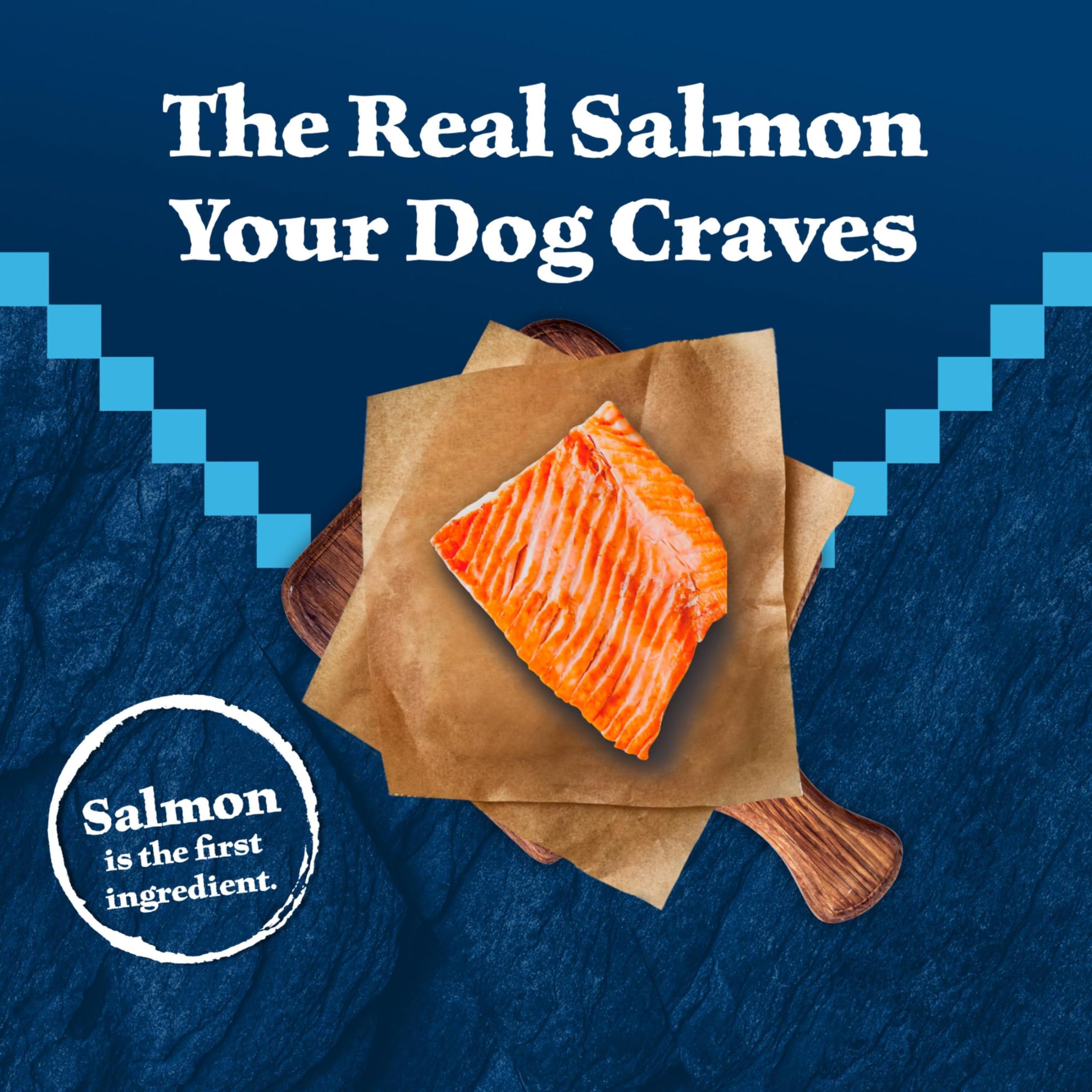 Blue Buffalo Wilderness High-Protein Natural Dry Food for Senior Dogs, Salmon Recipe, 24-lb. Bag