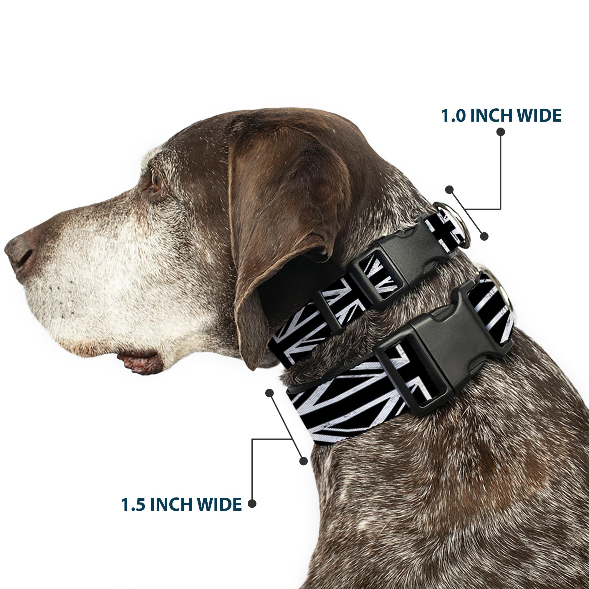 Buckle-Down Plastic Clip Collar - Union Jack Distressed Black/White - 1/2' Wide - Fits 8-12' Neck - Medium