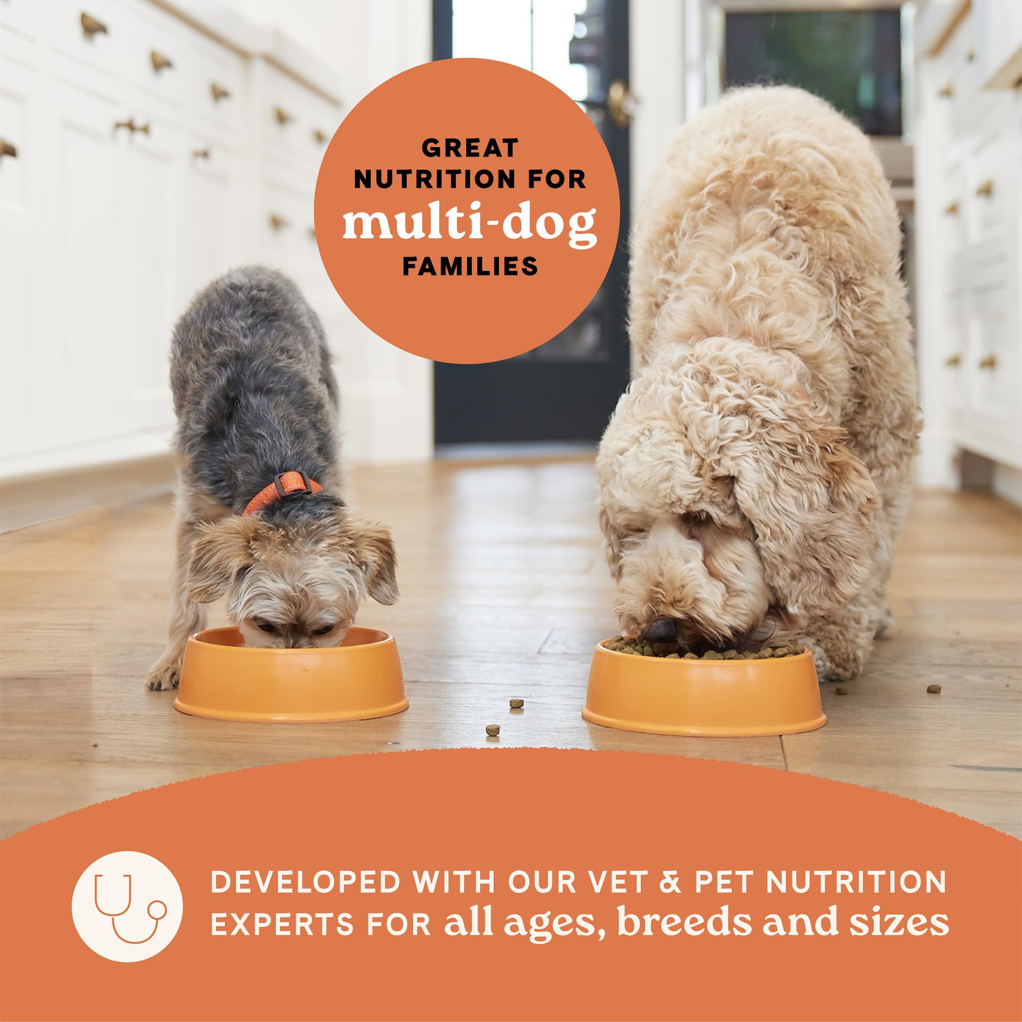 Canidae All Life Stages Multi-Protein Recipe with Chicken, Turkey, Lamb, and Fish - High Protein Premium Dry Dog Food for All Ag