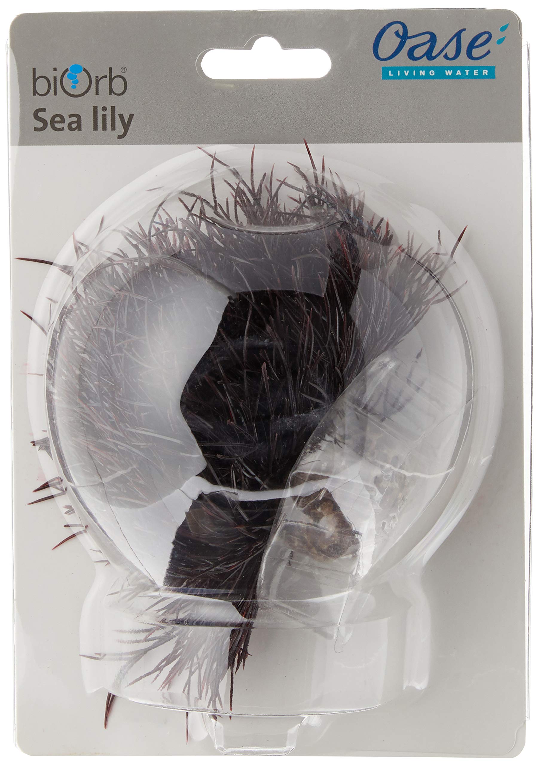 Biorb Sea Lily Crimson