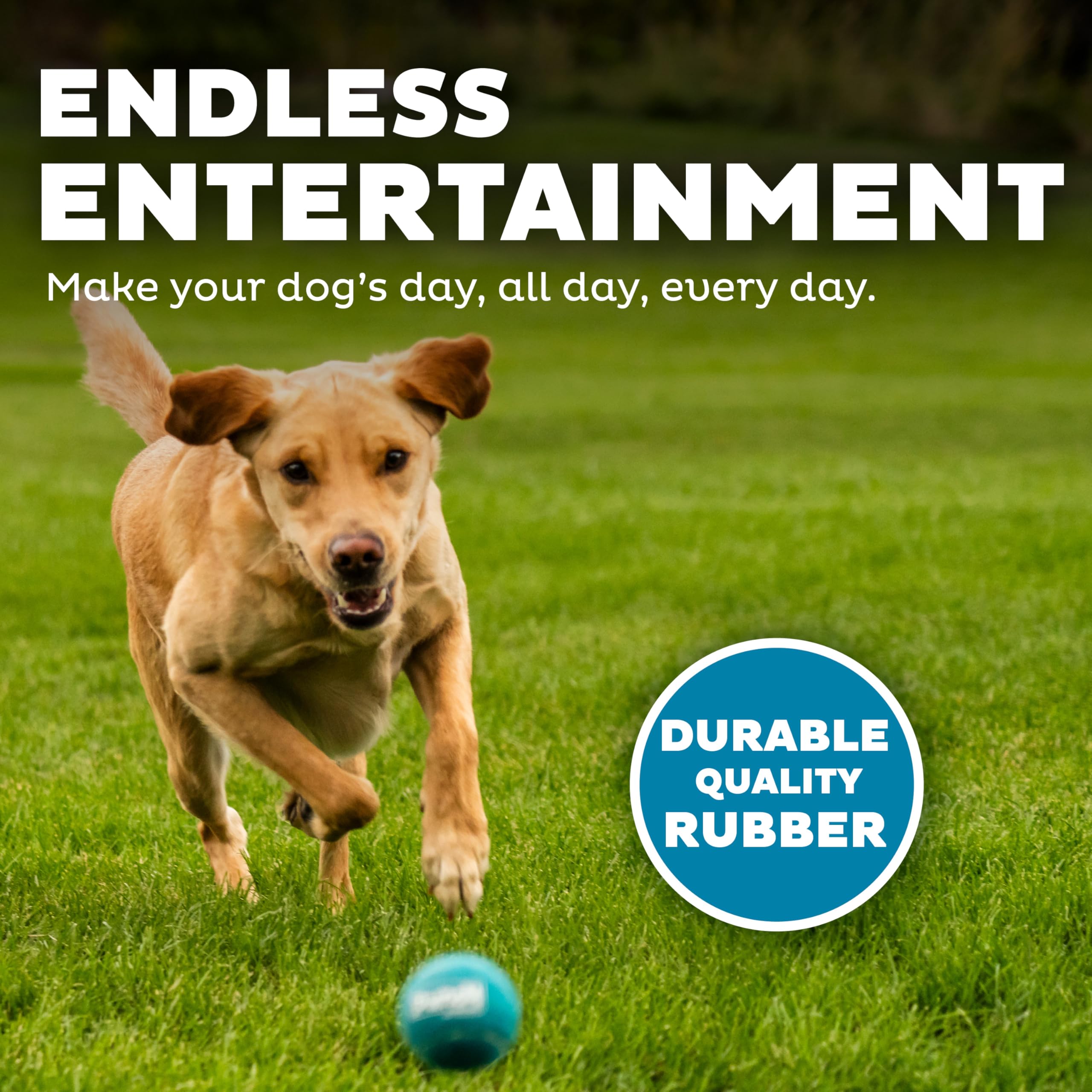 Outward Hound Squeaker Ballz - Interactive Durable Dog Toy, Squeaky Tennis Balls, Medium (Pack of 4) for Fetch, Multi-Colored