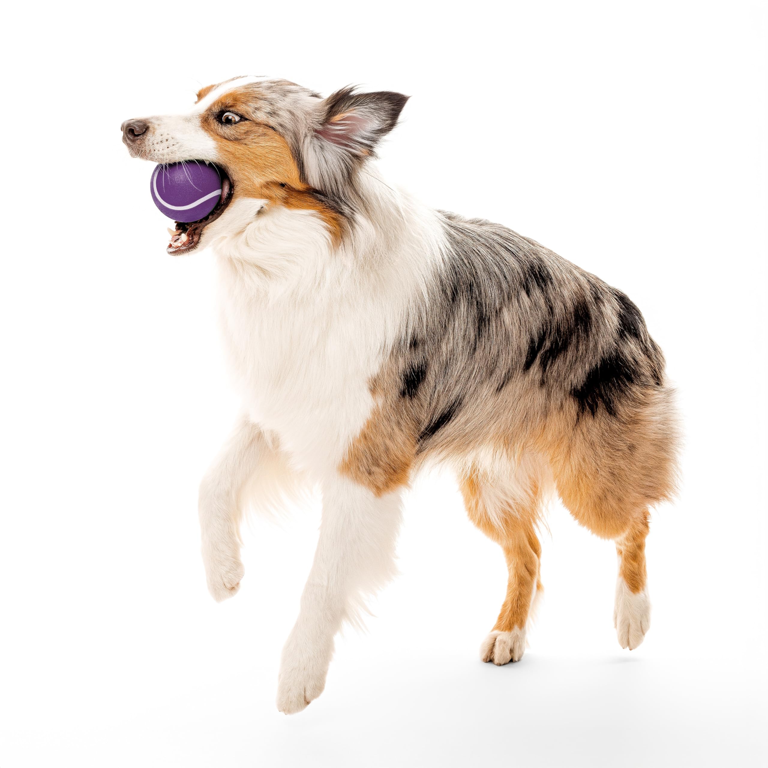 Playology Dog Toys | Squeaky Chew Ball - Bouncy Durable Floating Fetch Ball for Dogs | Jumbo Bacon Scented Toy - Easy to Clean a