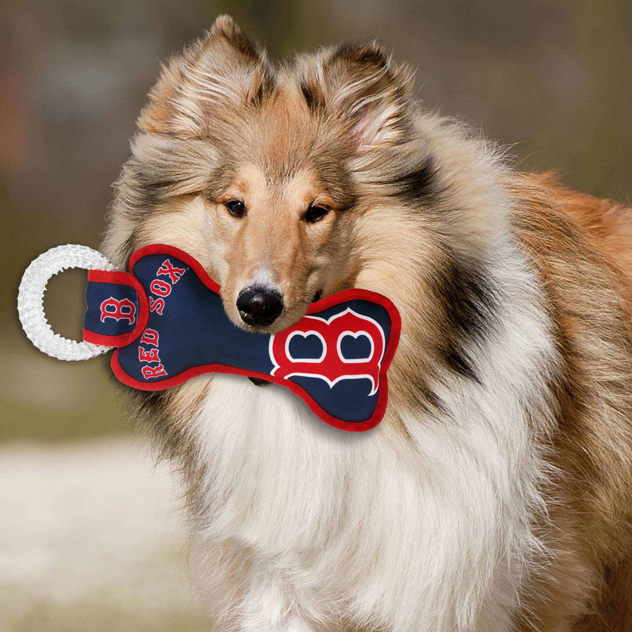 Mlb Boston Red Sox Bone Shaped Dental Dog Tug Toy With Squeaker. Tough Pet Toy For Healthy Fun, Teething, And Cleaning Pet'S Tee